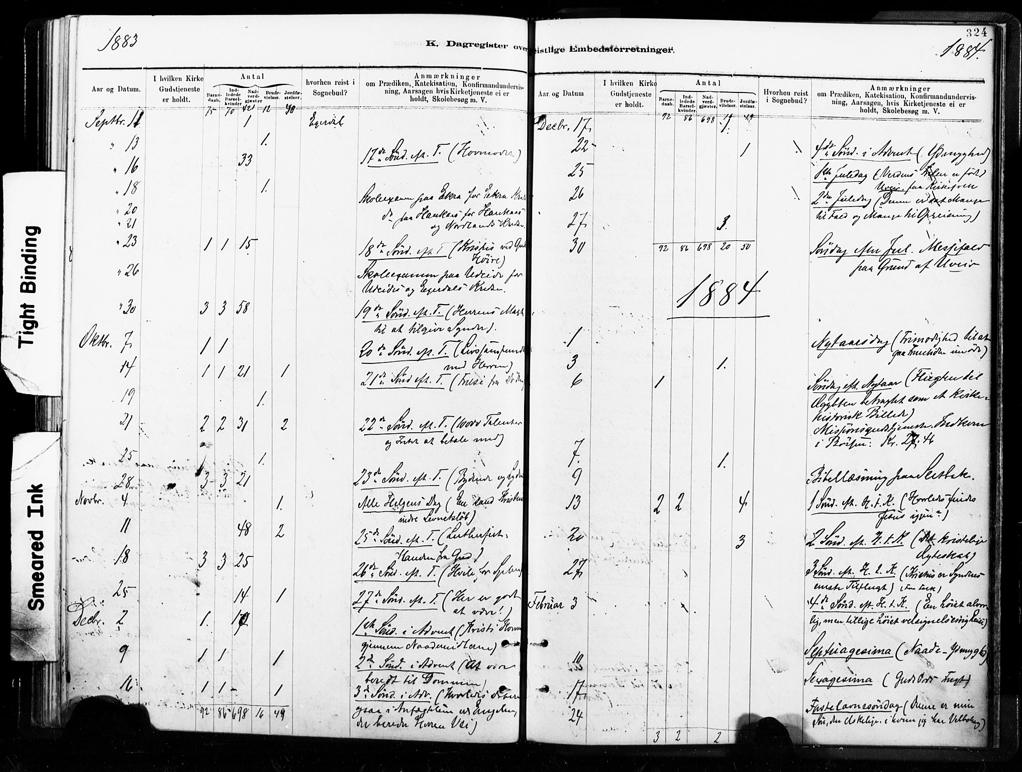 Ministerialprotokoller, klokkerbøker og fødselsregistre - Nordland, AV/SAT-A-1459/859/L0846: Ministerialbok nr. 859A06, 1878-1889, s. 324