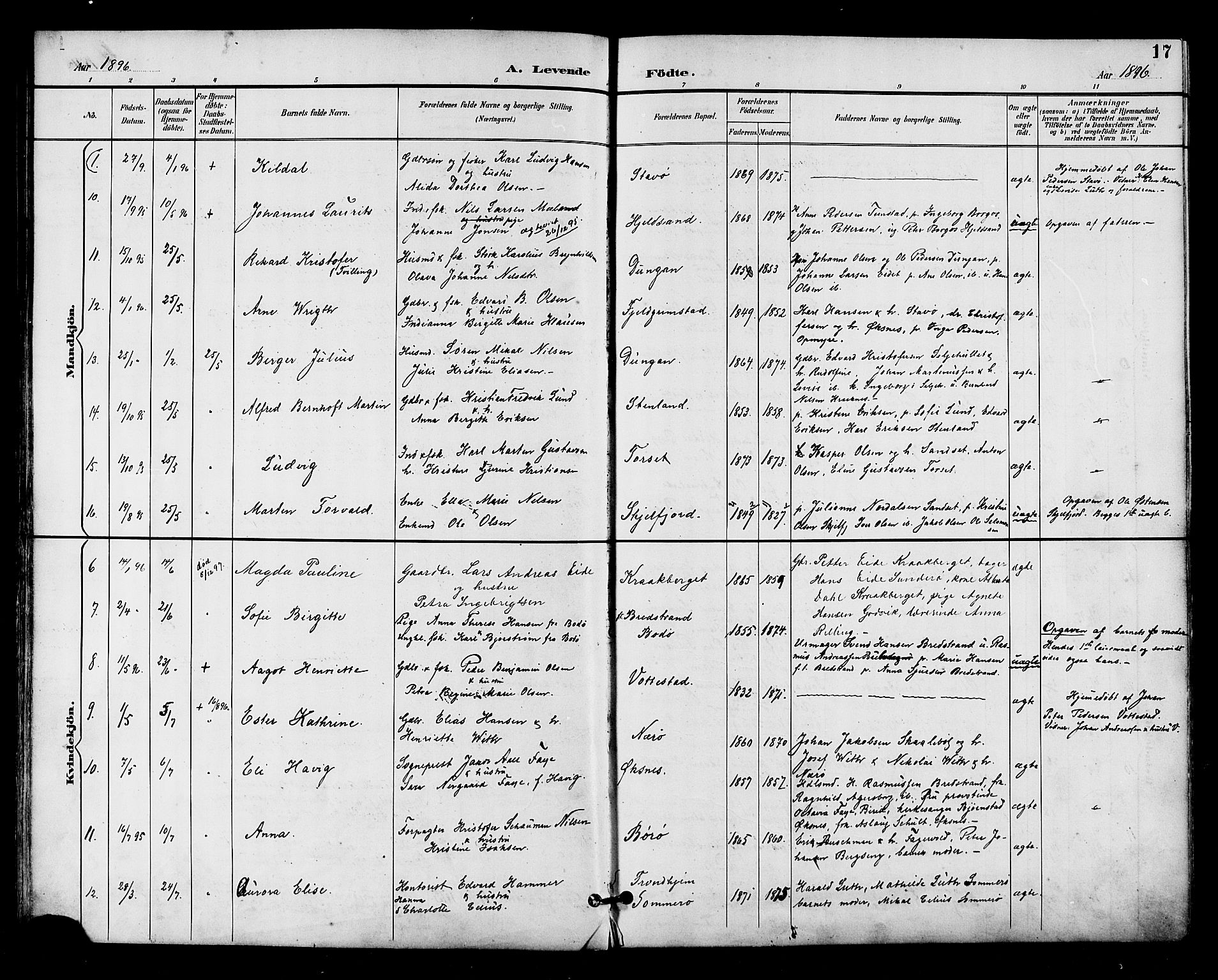 Ministerialprotokoller, klokkerbøker og fødselsregistre - Nordland, AV/SAT-A-1459/893/L1338: Ministerialbok nr. 893A10, 1894-1903, s. 17