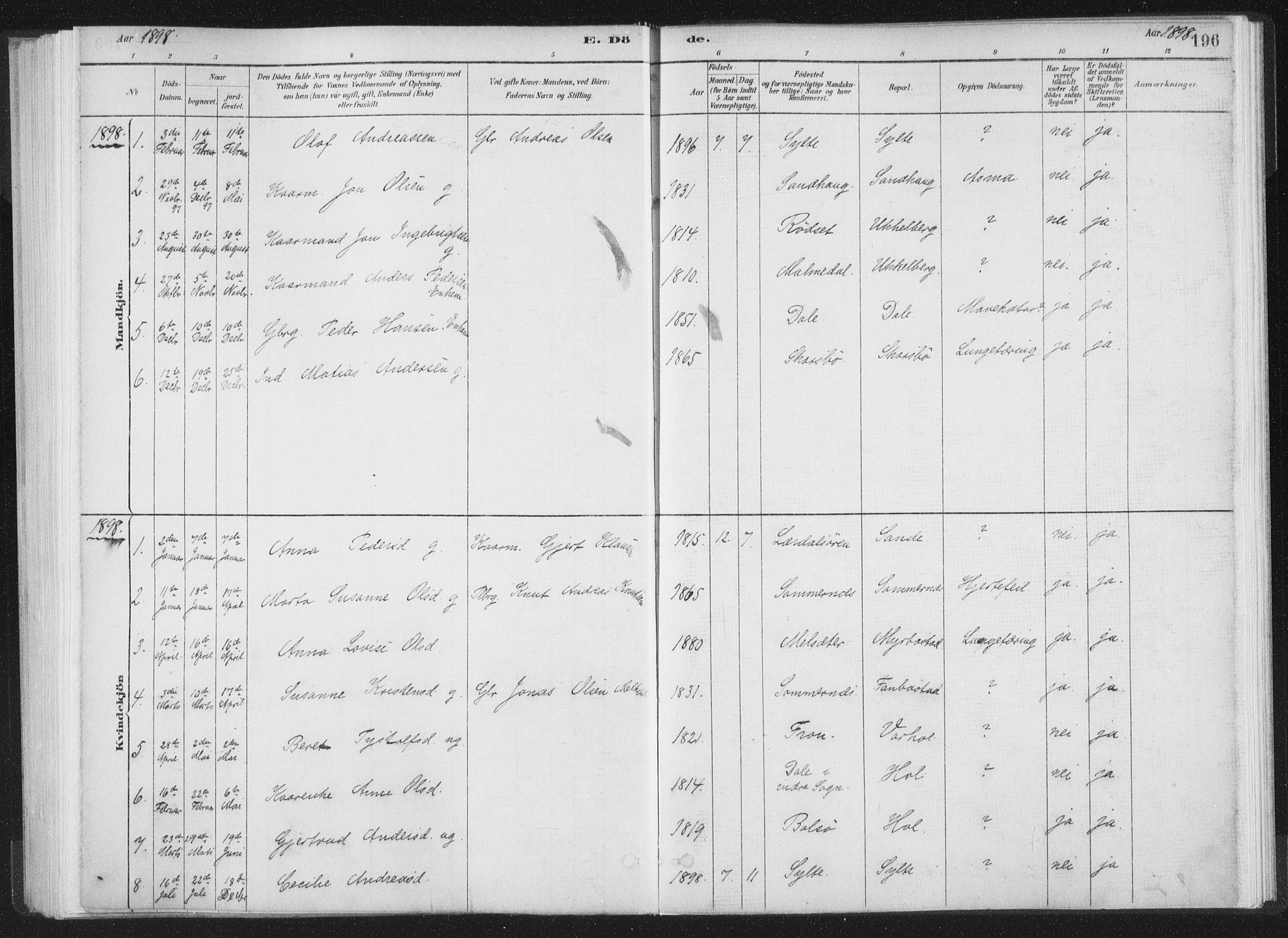 Ministerialprotokoller, klokkerbøker og fødselsregistre - Møre og Romsdal, SAT/A-1454/564/L0740: Ministerialbok nr. 564A01, 1880-1899, s. 196