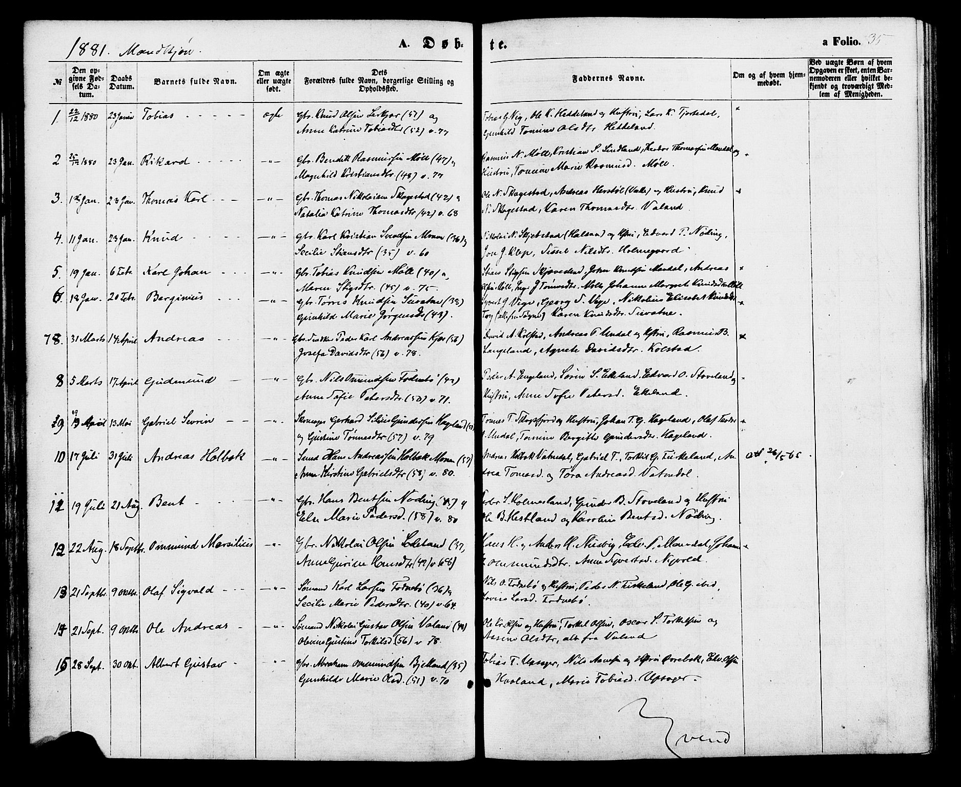 Holum sokneprestkontor, SAK/1111-0022/F/Fa/Faa/L0006: Ministerialbok nr. A 6, 1865-1883, s. 35