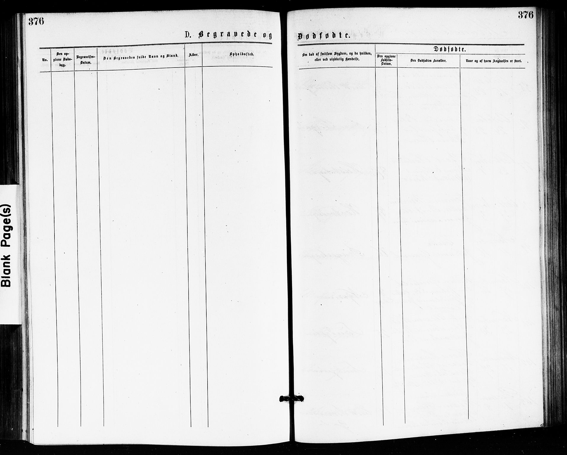 Bragernes kirkebøker, SAKO/A-6/F/Fb/L0005: Ministerialbok nr. II 5, 1875-1877, s. 376