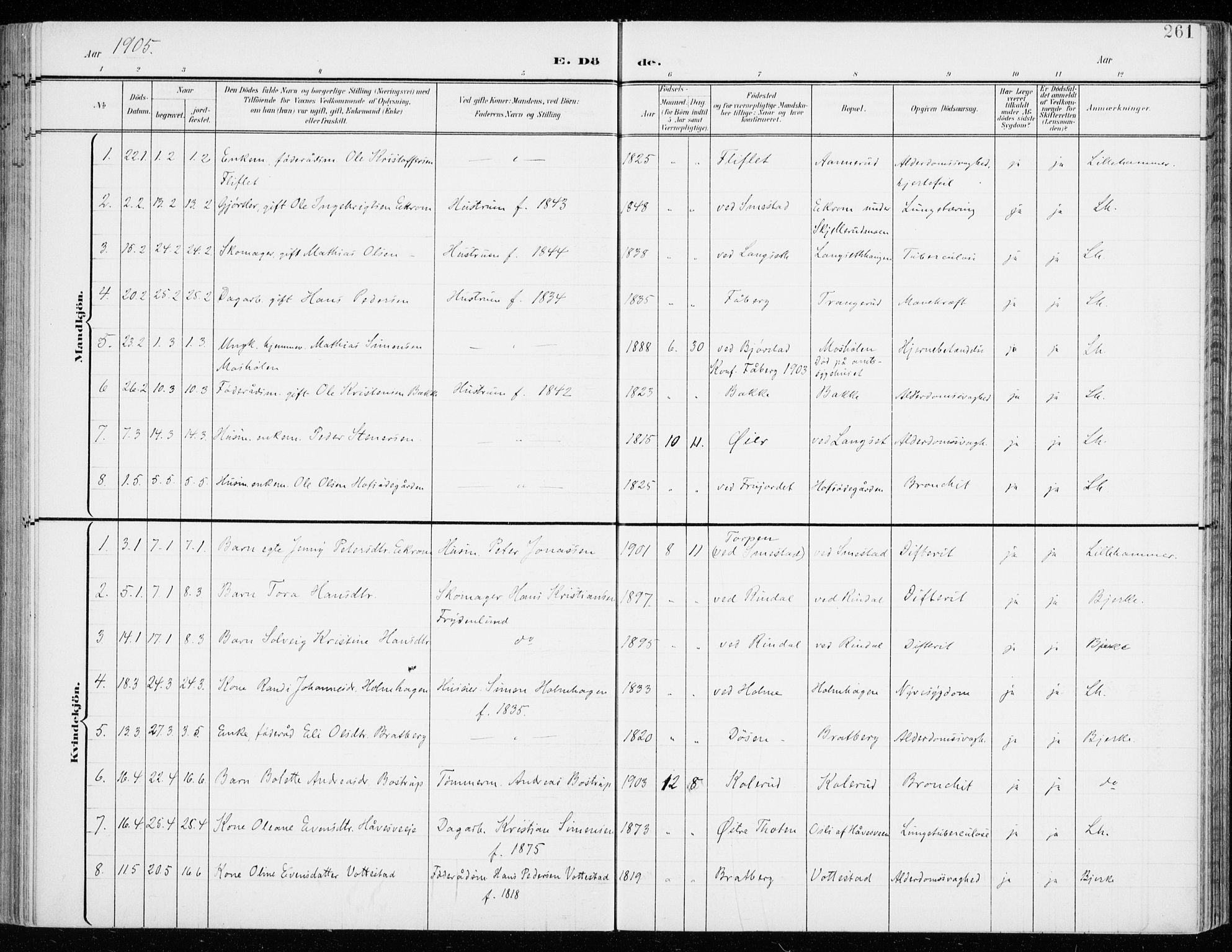 Fåberg prestekontor, AV/SAH-PREST-086/H/Ha/Haa/L0011: Ministerialbok nr. 11, 1899-1913, s. 261