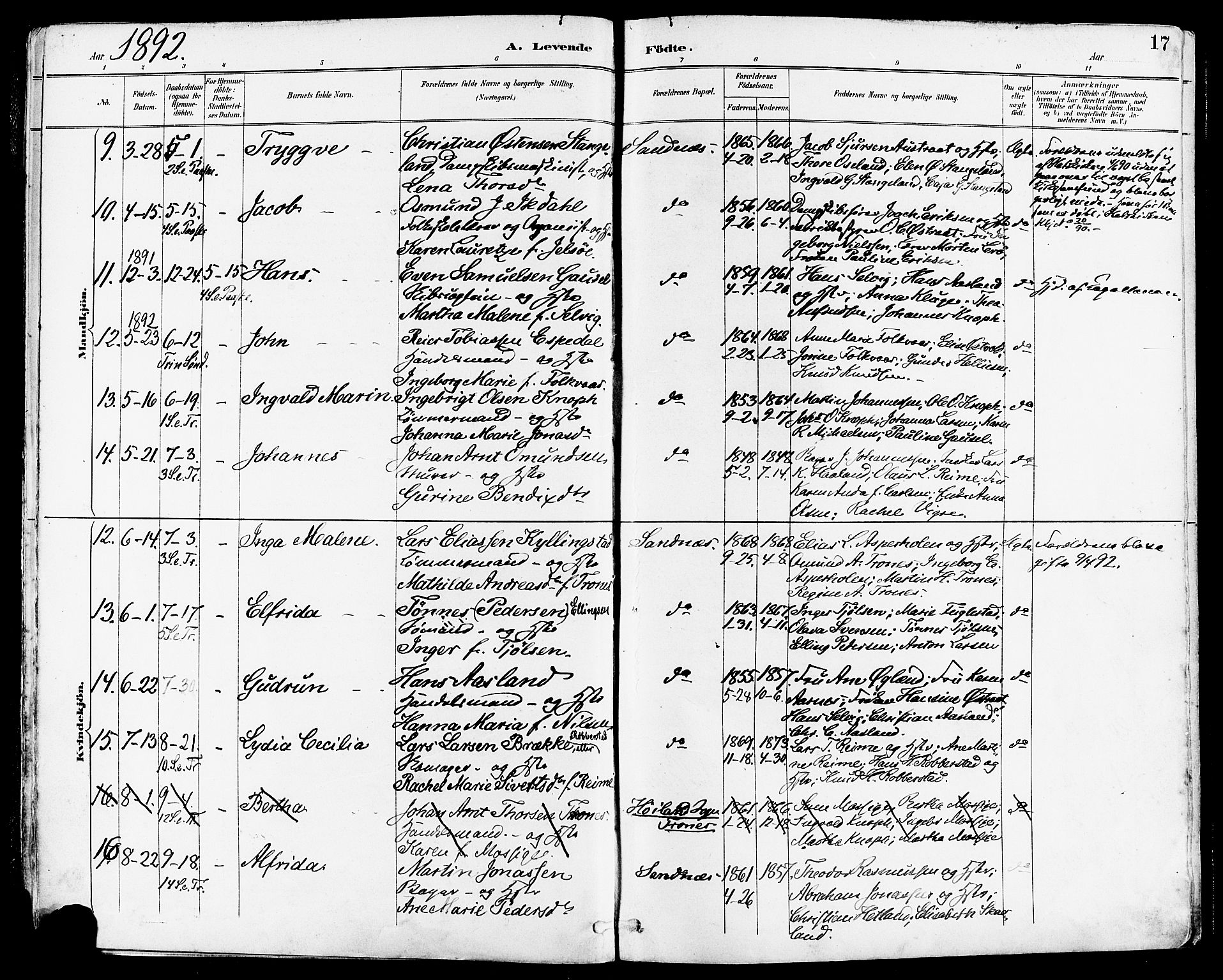 Høyland sokneprestkontor, AV/SAST-A-101799/001/30BA/L0014: Ministerialbok nr. A 12, 1890-1898, s. 17