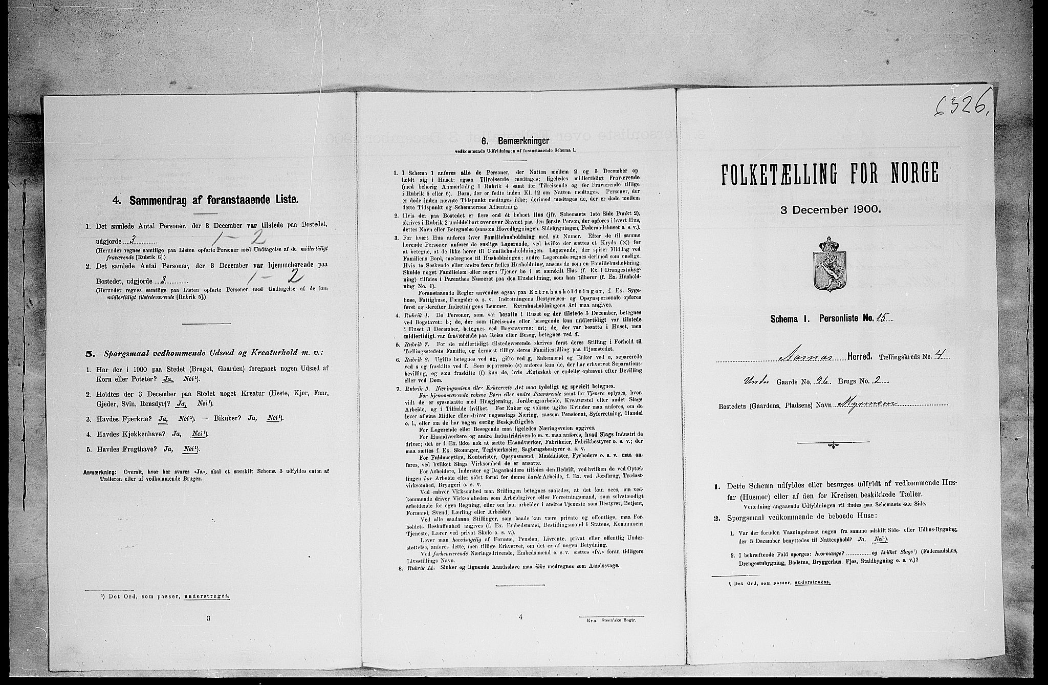 SAH, Folketelling 1900 for 0425 Åsnes herred, 1900, s. 596
