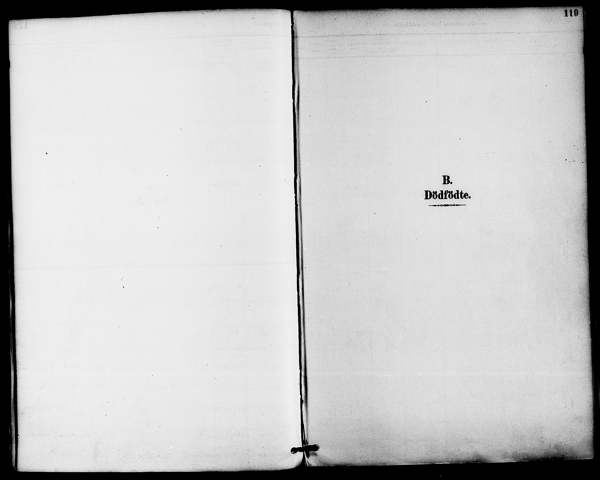 Gjerpen kirkebøker, SAKO/A-265/F/Fa/L0010: Ministerialbok nr. I 10, 1886-1895, s. 119