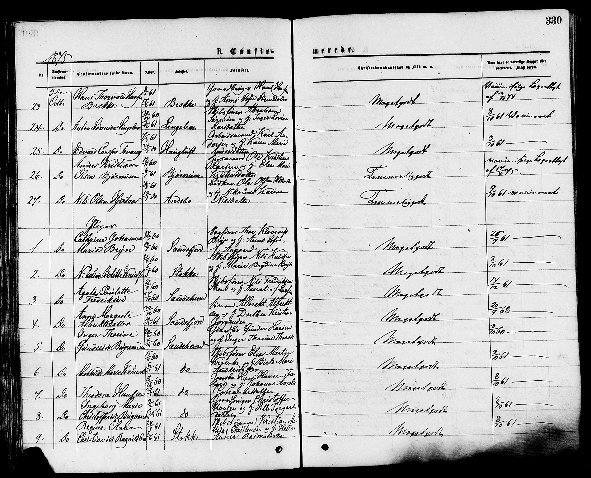 Sandar kirkebøker, AV/SAKO-A-243/F/Fa/L0010: Ministerialbok nr. 10, 1872-1882, s. 330