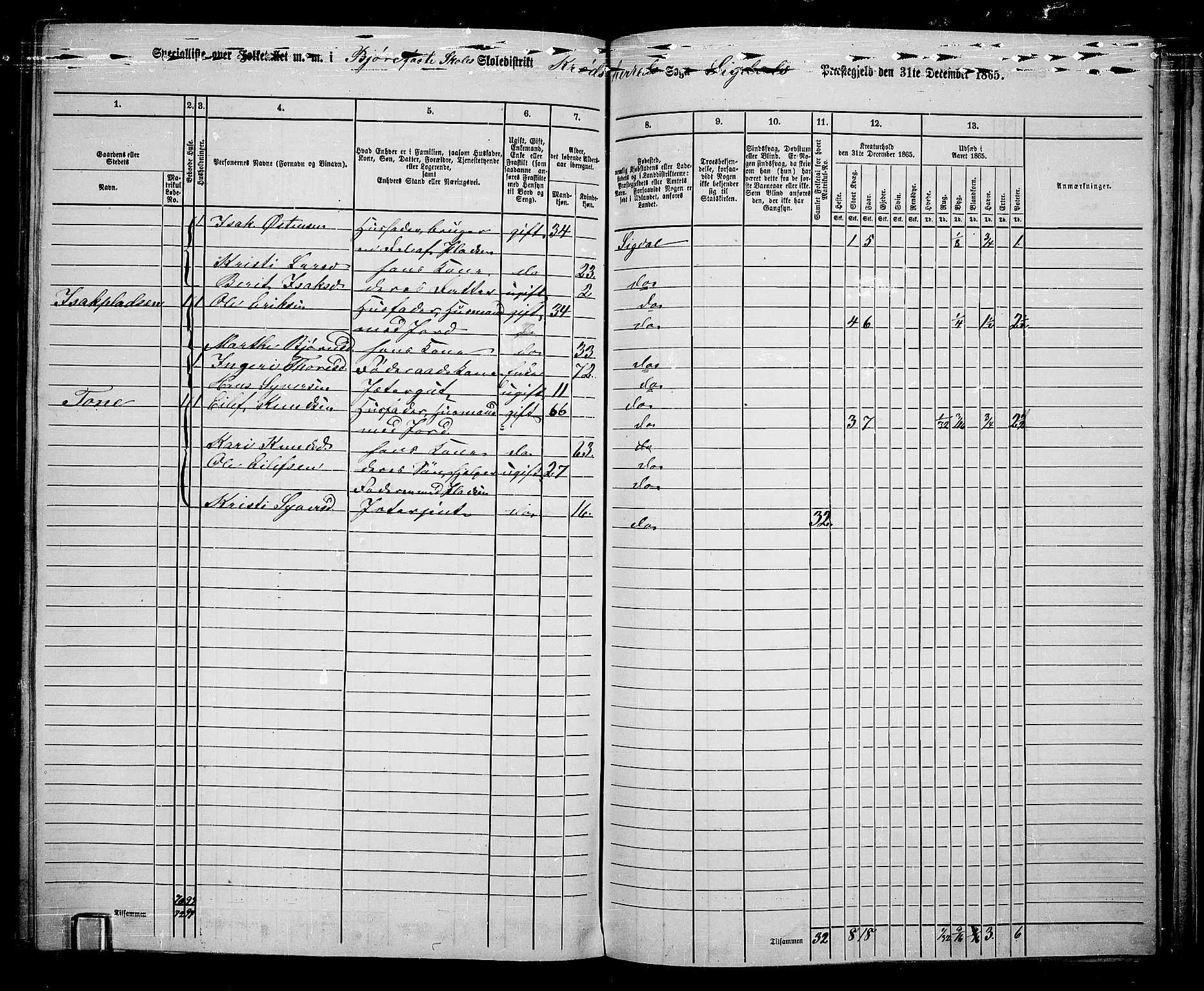 RA, Folketelling 1865 for 0621P Sigdal prestegjeld, 1865, s. 245