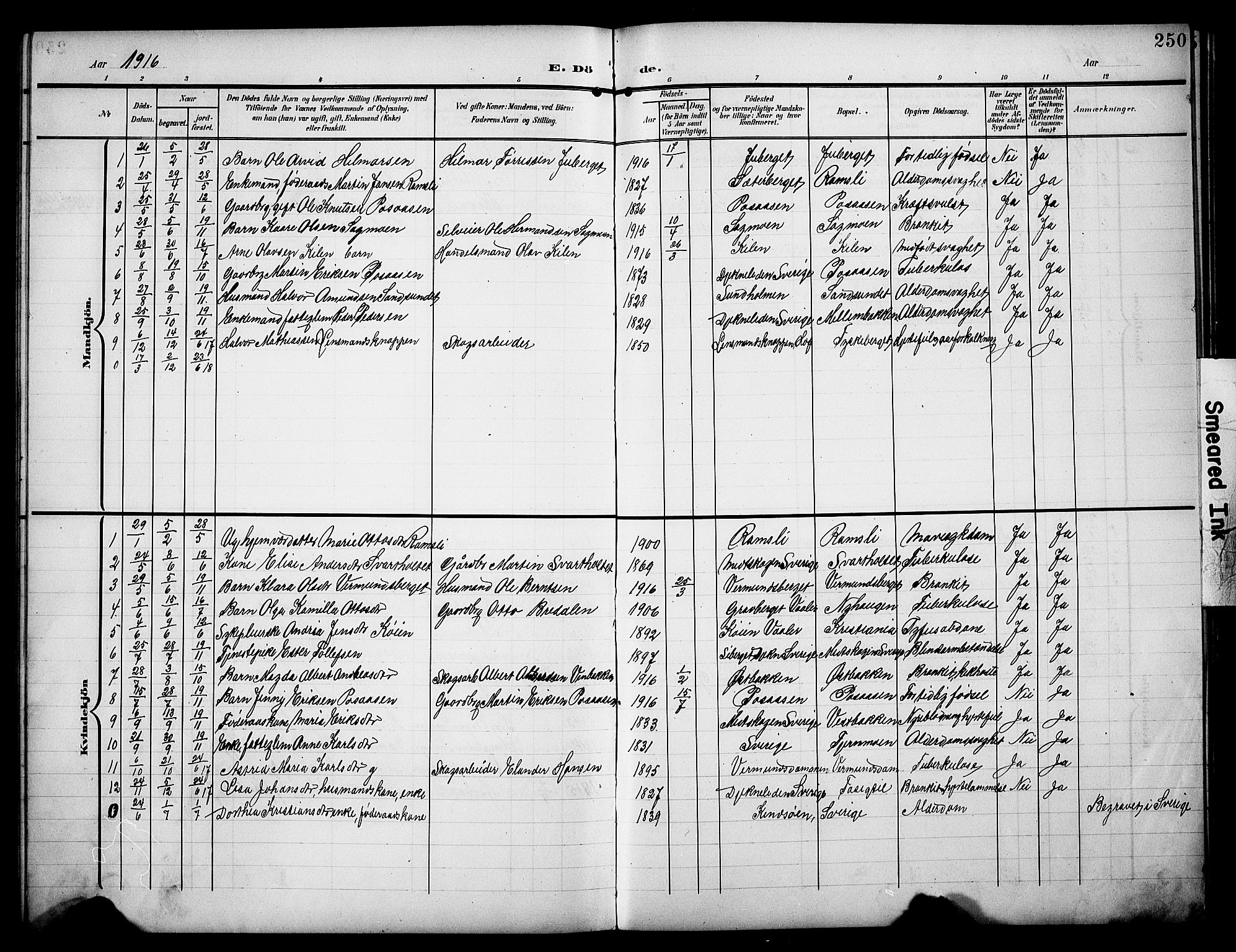 Åsnes prestekontor, AV/SAH-PREST-042/H/Ha/Hab/L0006: Klokkerbok nr. 6, 1903-1929, s. 250