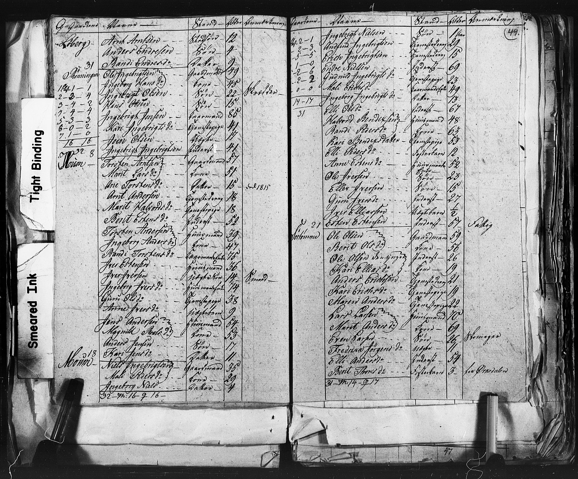 SAT, Folketelling 1815 for 1648P Støren prestegjeld, 1815, s. 49