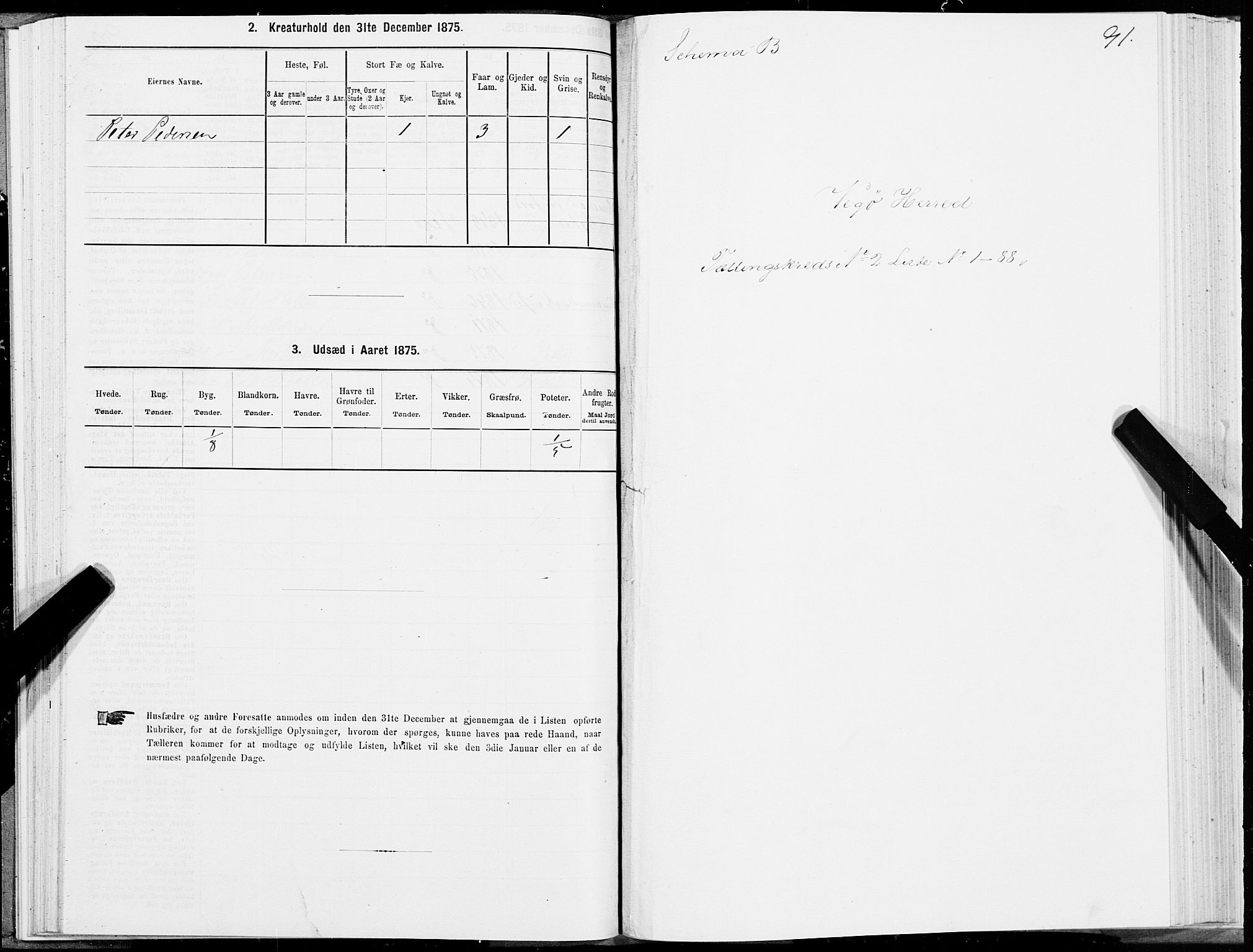 SAT, Folketelling 1875 for 1815P Vega prestegjeld, 1875, s. 1091