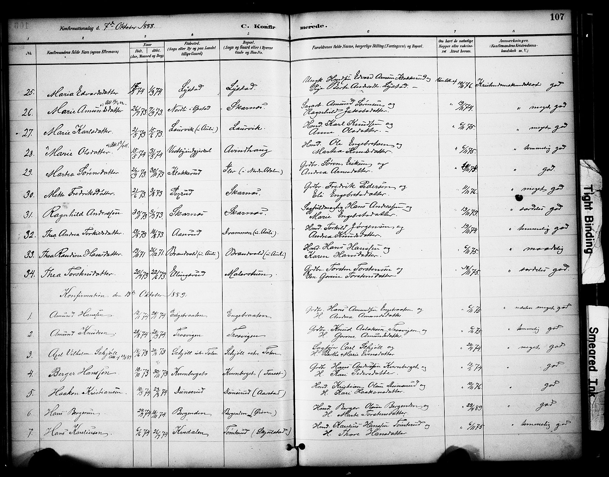 Sør-Odal prestekontor, AV/SAH-PREST-030/H/Ha/Haa/L0009: Ministerialbok nr. 9, 1886-1926, s. 107