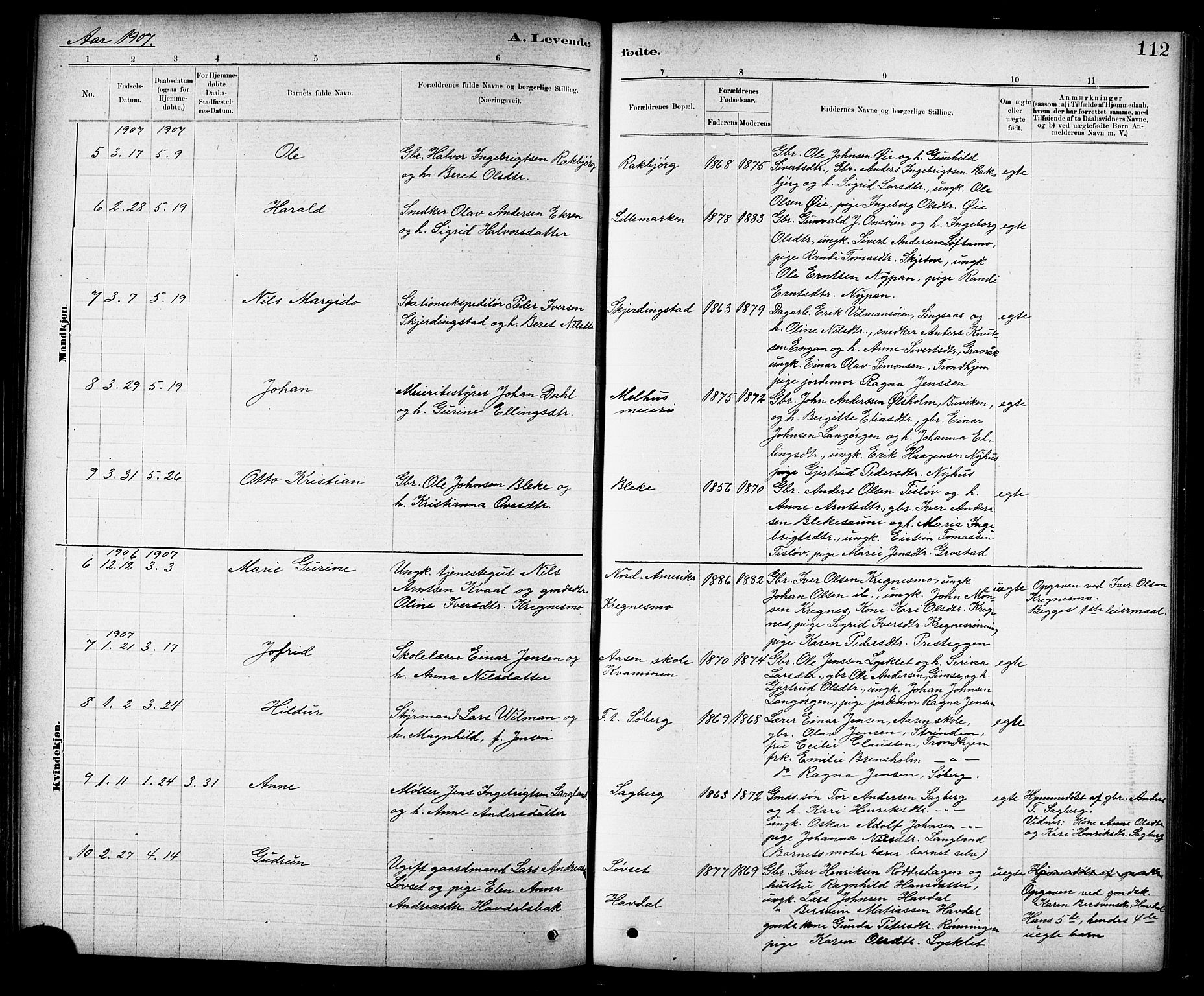 Ministerialprotokoller, klokkerbøker og fødselsregistre - Sør-Trøndelag, AV/SAT-A-1456/691/L1094: Klokkerbok nr. 691C05, 1879-1911, s. 112