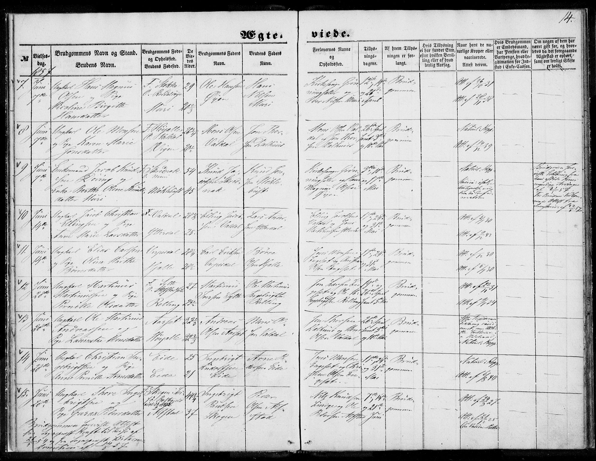 Ministerialprotokoller, klokkerbøker og fødselsregistre - Møre og Romsdal, SAT/A-1454/519/L0250: Ministerialbok nr. 519A09, 1850-1868, s. 14