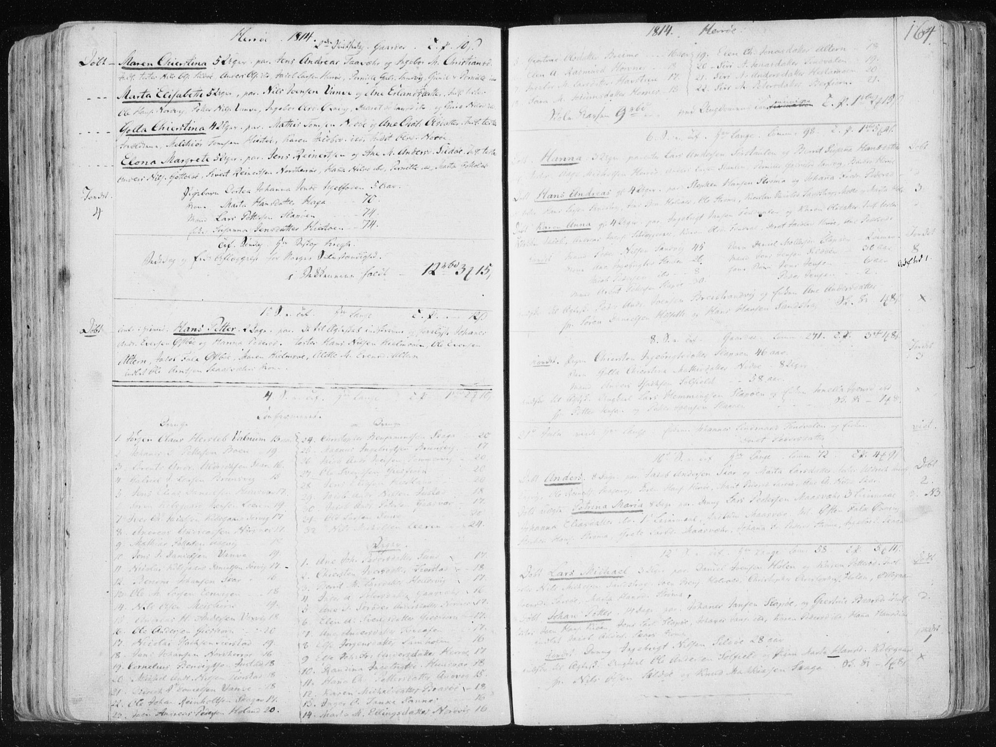 Ministerialprotokoller, klokkerbøker og fødselsregistre - Nordland, AV/SAT-A-1459/830/L0444: Ministerialbok nr. 830A08, 1801-1819, s. 164