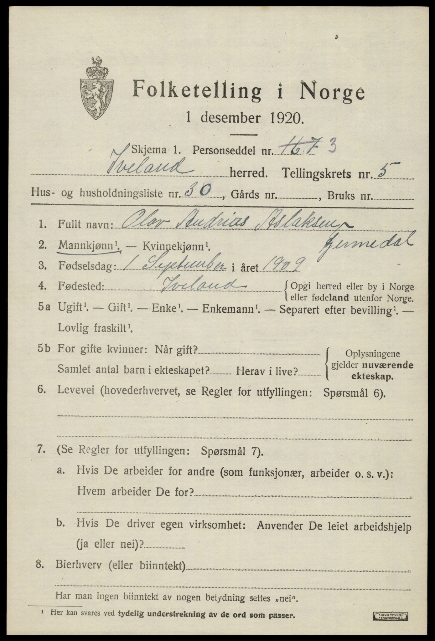 SAK, Folketelling 1920 for 0935 Iveland herred, 1920, s. 1919