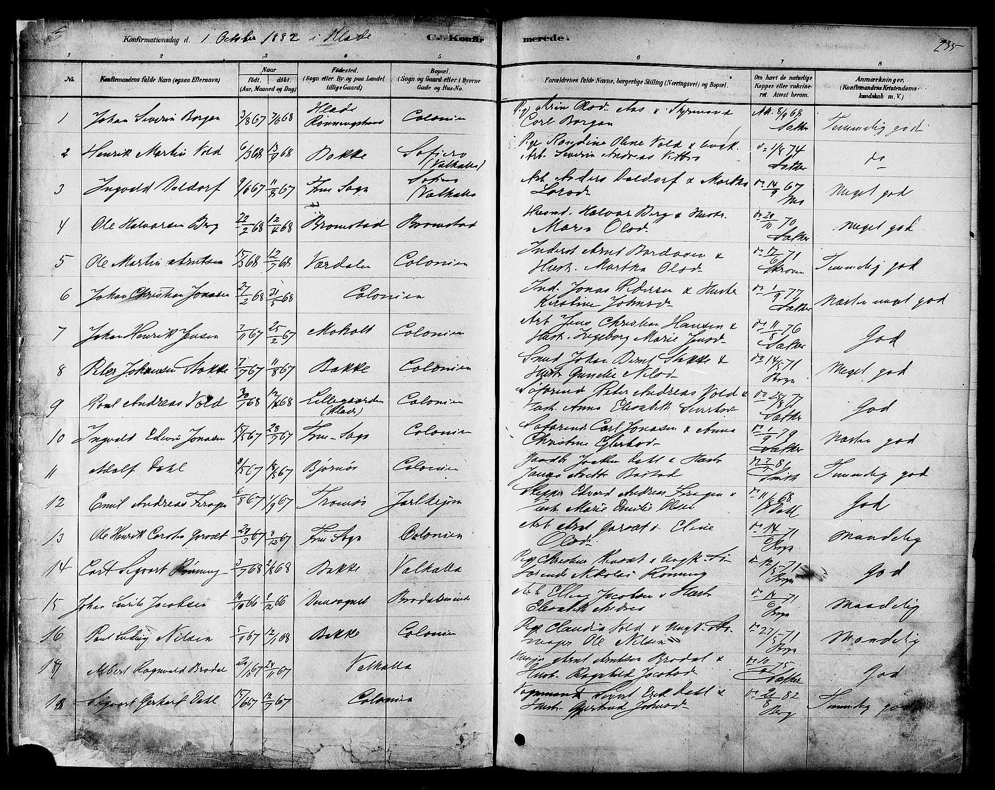 Ministerialprotokoller, klokkerbøker og fødselsregistre - Sør-Trøndelag, SAT/A-1456/606/L0294: Ministerialbok nr. 606A09, 1878-1886, s. 235