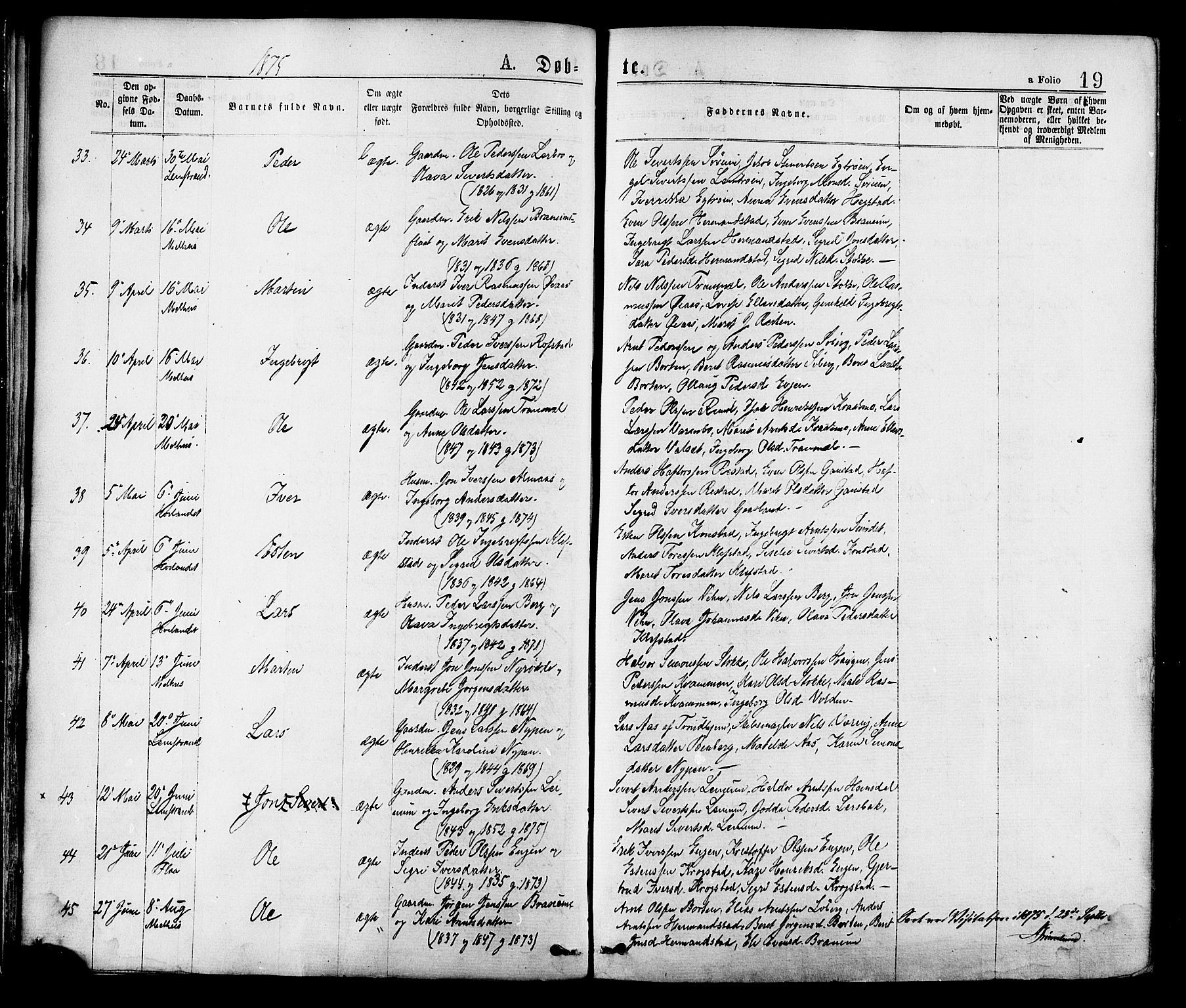 Ministerialprotokoller, klokkerbøker og fødselsregistre - Sør-Trøndelag, AV/SAT-A-1456/691/L1079: Ministerialbok nr. 691A11, 1873-1886, s. 19