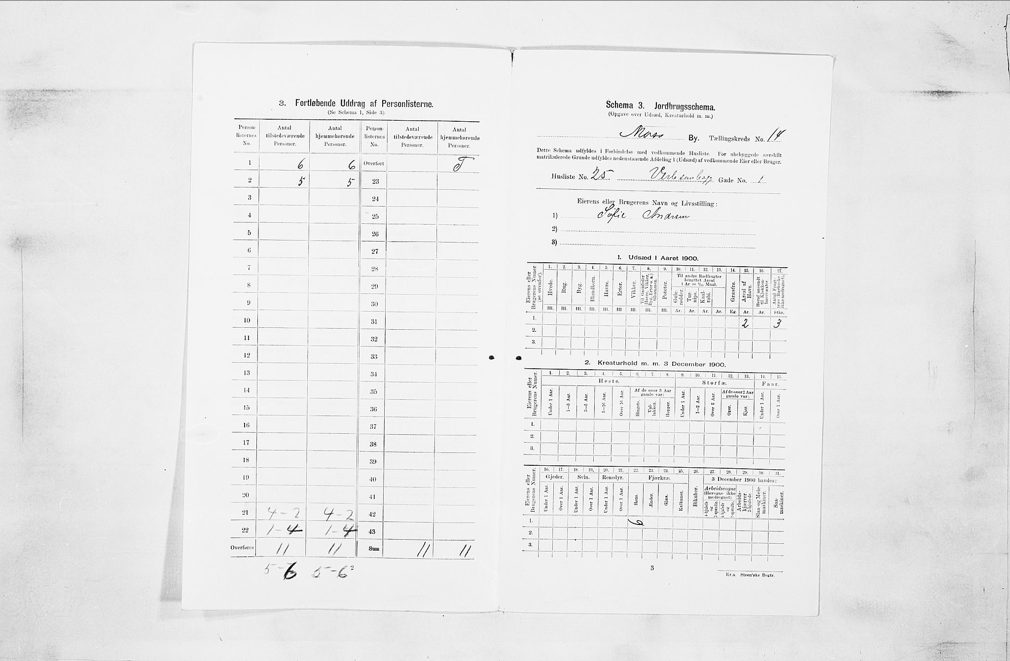 SAO, Folketelling 1900 for 0104 Moss kjøpstad, 1900