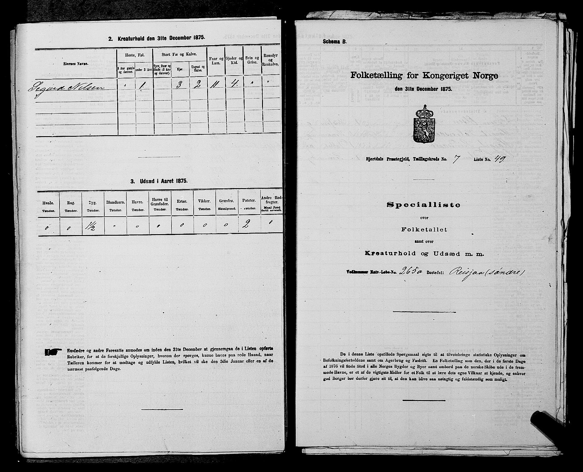 SAKO, Folketelling 1875 for 0827P Hjartdal prestegjeld, 1875, s. 1052