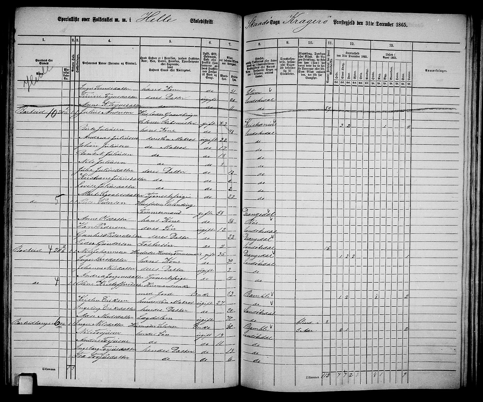 RA, Folketelling 1865 for 0816L Kragerø prestegjeld, Sannidal sokn og Skåtøy sokn, 1865, s. 153