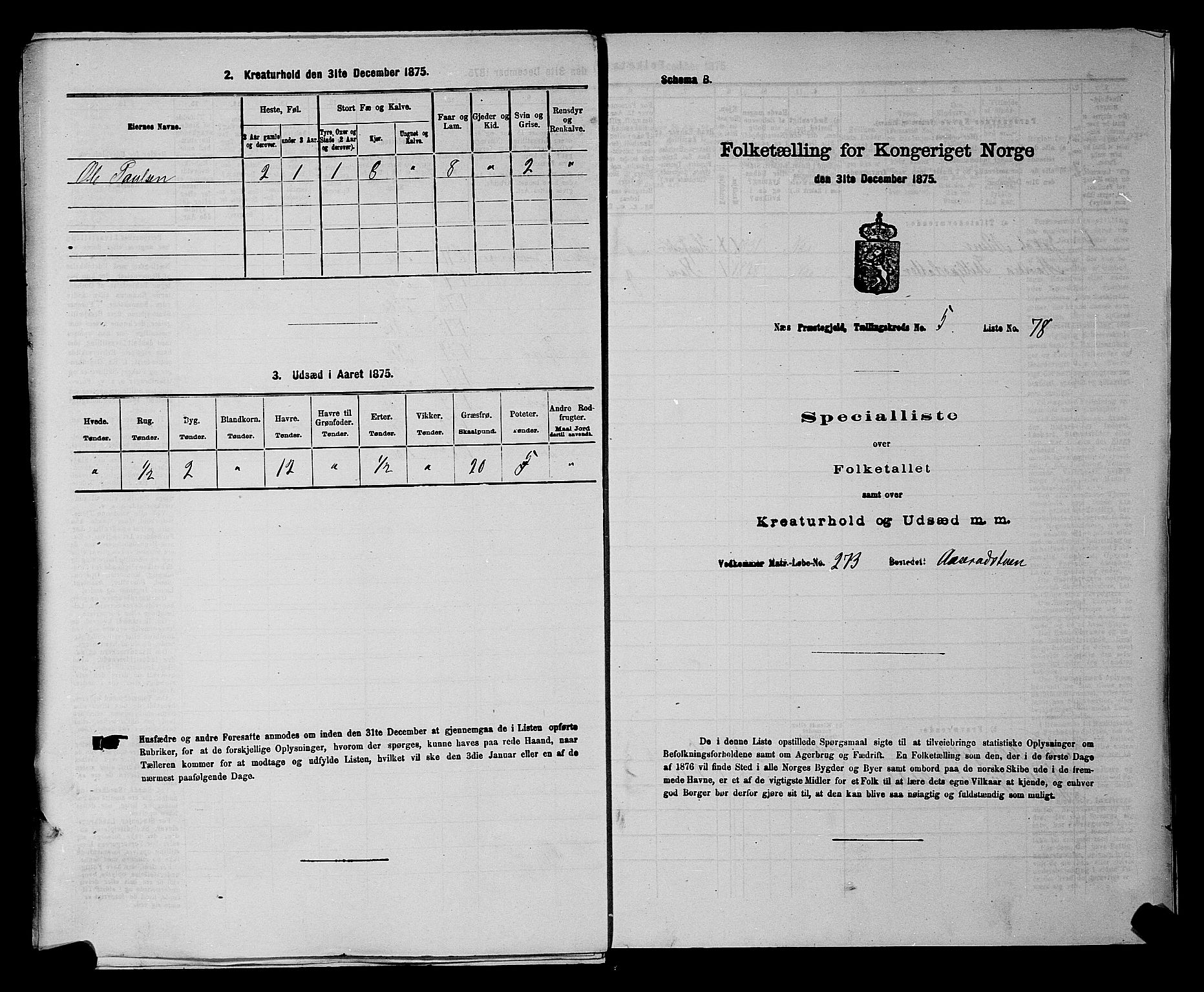 RA, Folketelling 1875 for 0236P Nes prestegjeld, 1875, s. 878