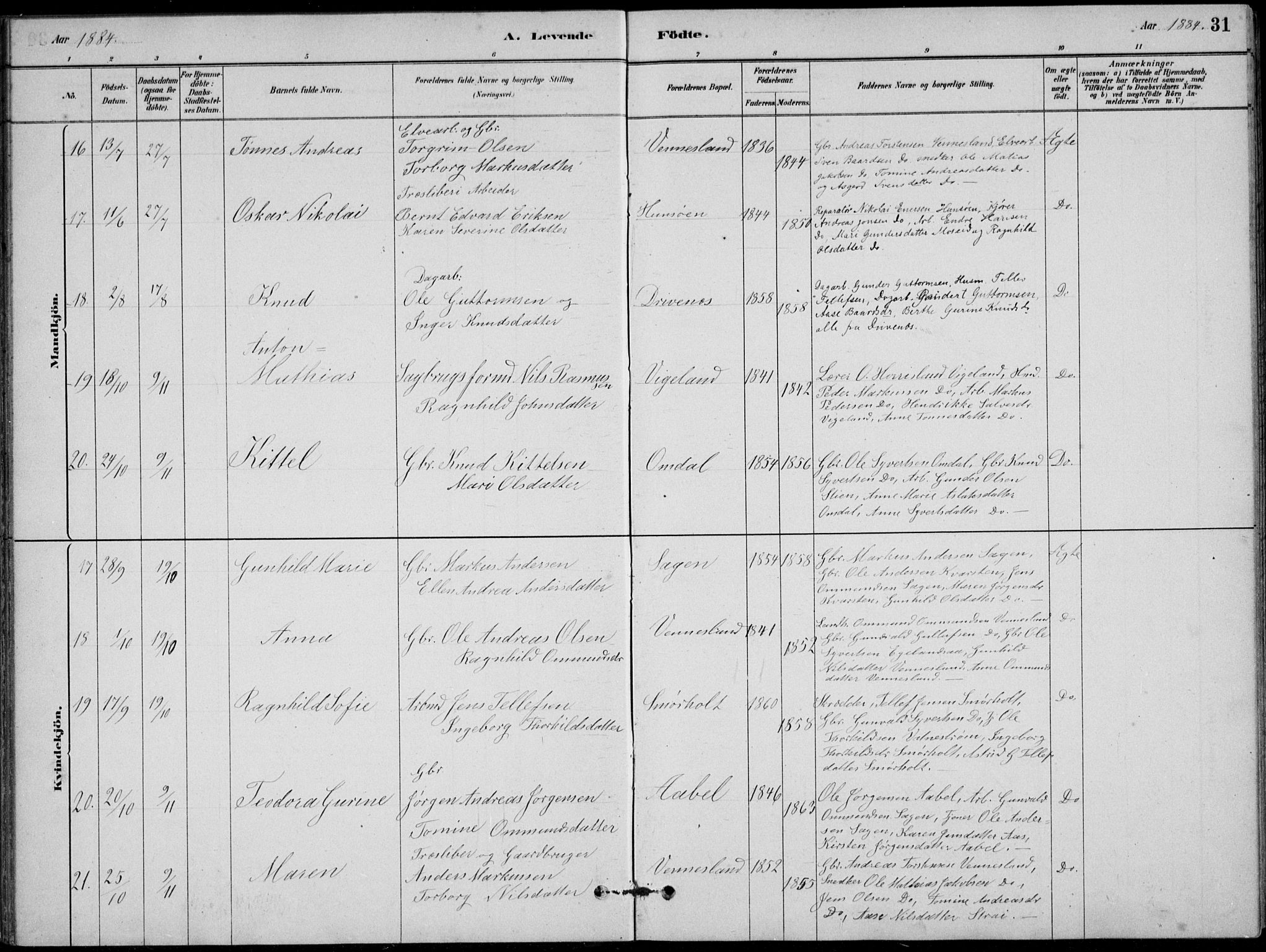 Vennesla sokneprestkontor, AV/SAK-1111-0045/Fb/Fbb/L0003: Klokkerbok nr. B 3, 1879-1893, s. 31