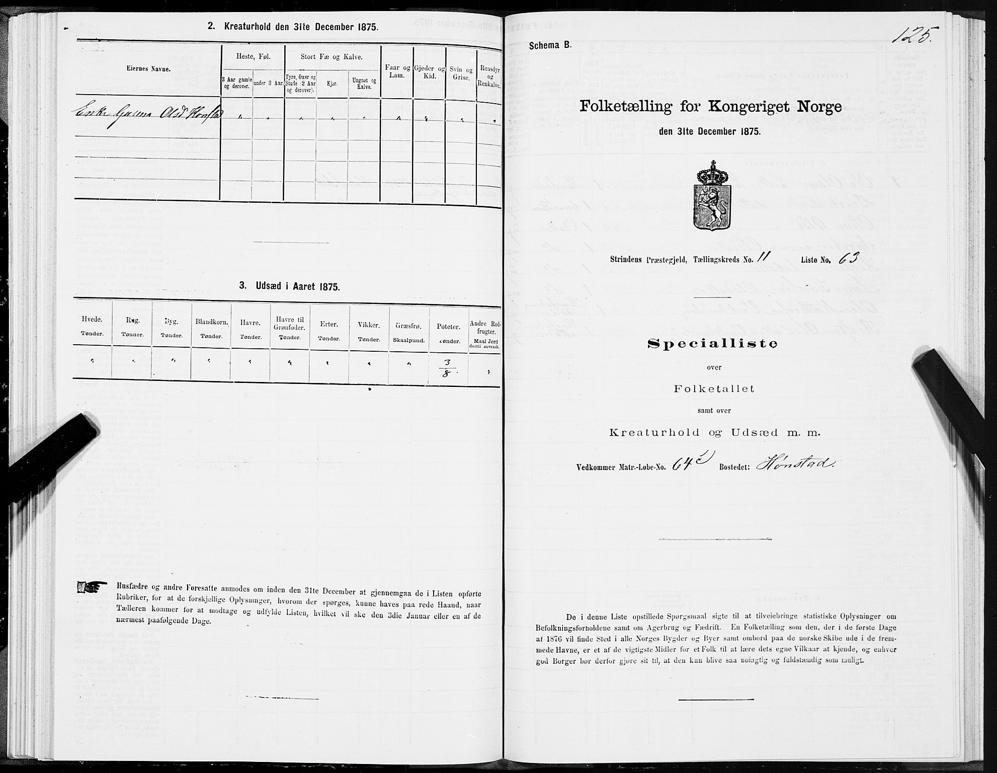 SAT, Folketelling 1875 for 1660P Strinda prestegjeld, 1875, s. 7125