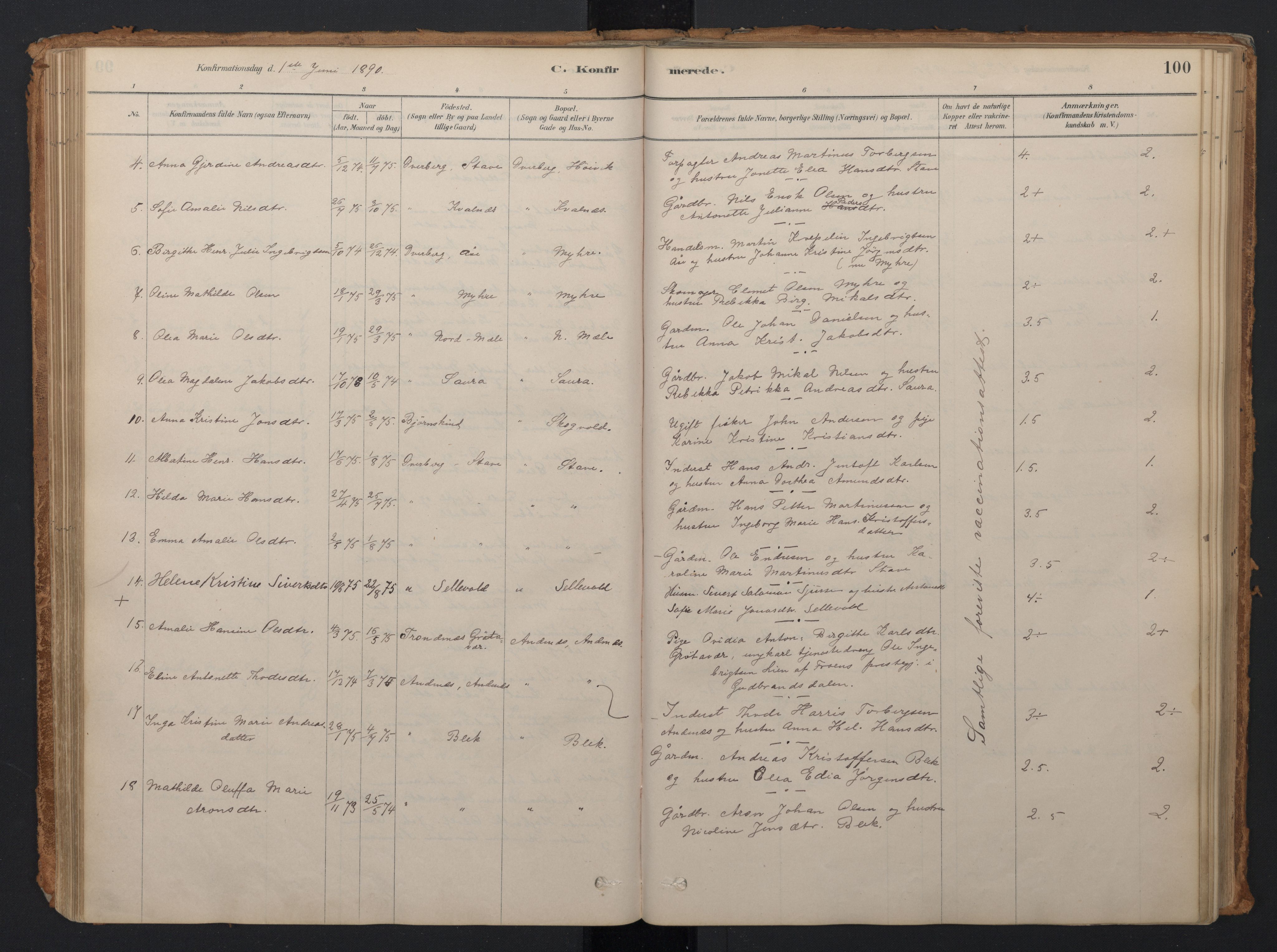Ministerialprotokoller, klokkerbøker og fødselsregistre - Nordland, AV/SAT-A-1459/897/L1399: Ministerialbok nr. 897A06, 1881-1896, s. 100