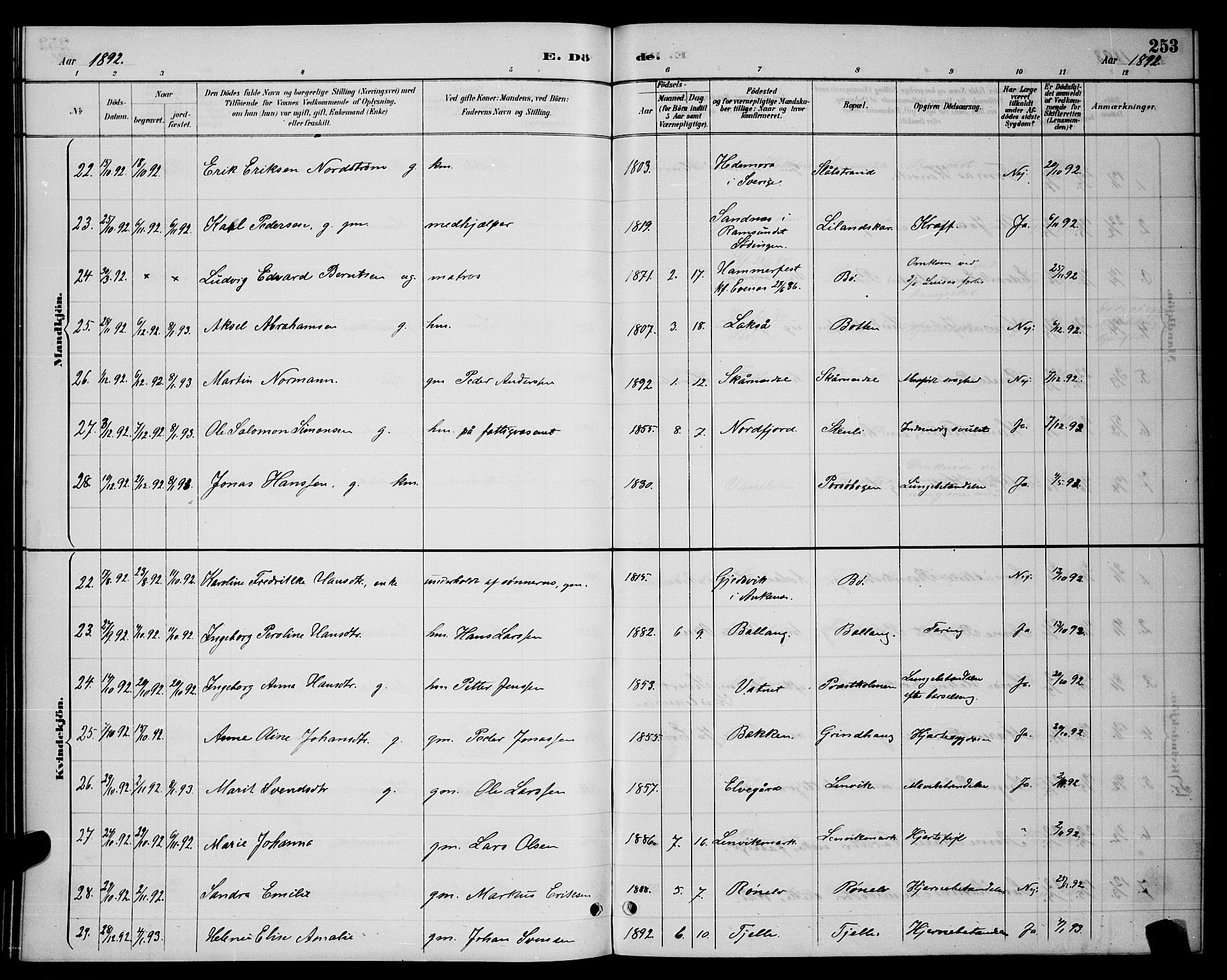 Ministerialprotokoller, klokkerbøker og fødselsregistre - Nordland, AV/SAT-A-1459/863/L0914: Klokkerbok nr. 863C04, 1886-1897, s. 253