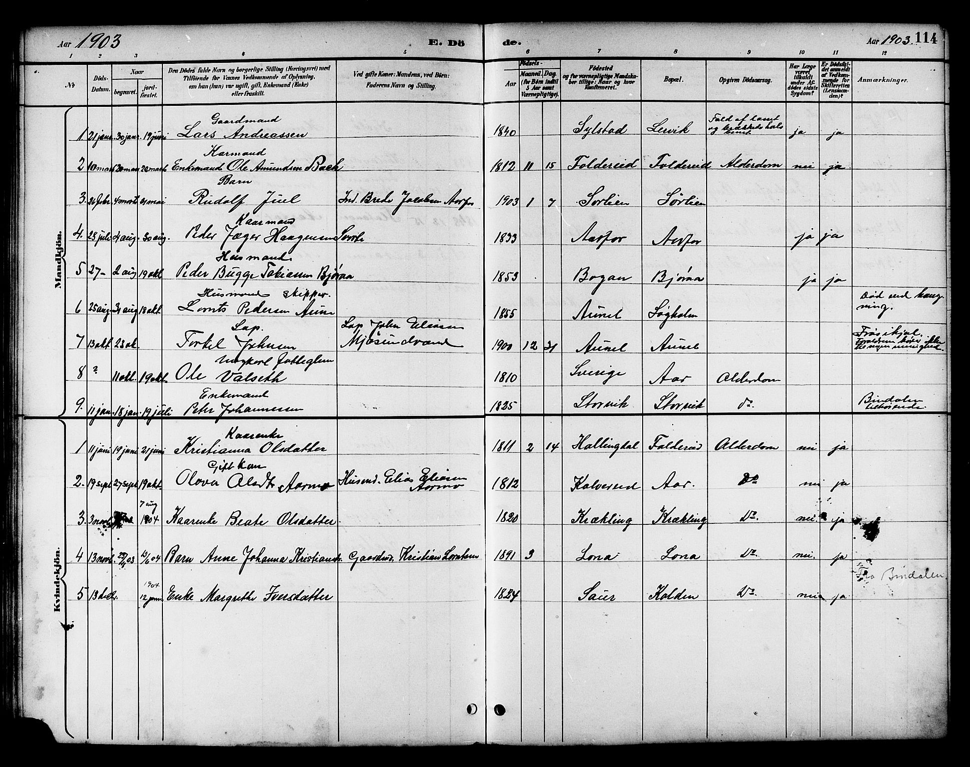 Ministerialprotokoller, klokkerbøker og fødselsregistre - Nord-Trøndelag, SAT/A-1458/783/L0662: Klokkerbok nr. 783C02, 1894-1919, s. 114