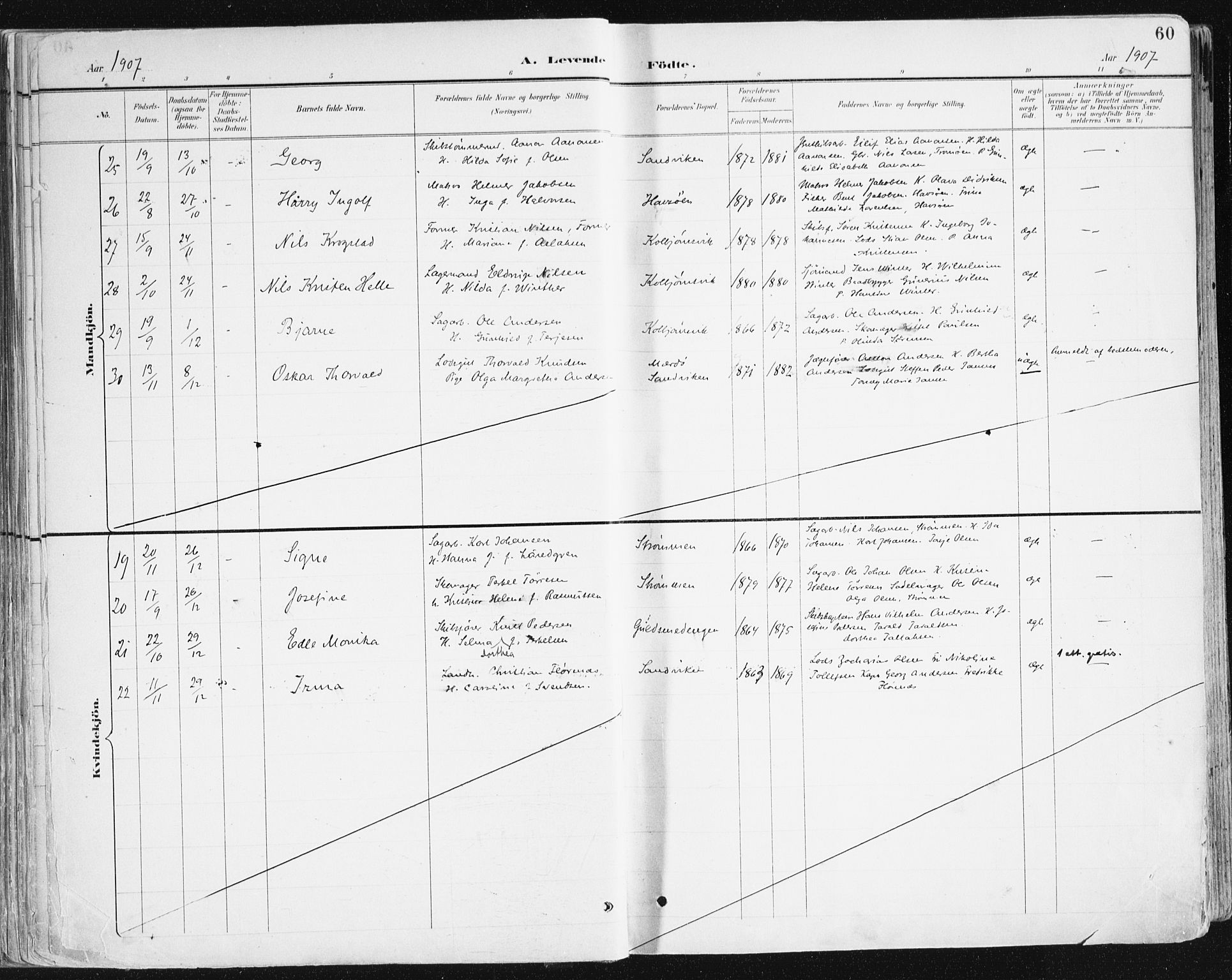 Hisøy sokneprestkontor, AV/SAK-1111-0020/F/Fa/L0004: Ministerialbok nr. A 4, 1895-1917, s. 60