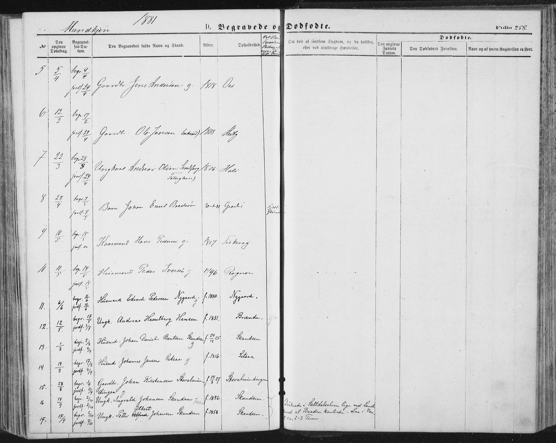 Ministerialprotokoller, klokkerbøker og fødselsregistre - Nordland, AV/SAT-A-1459/847/L0668: Ministerialbok nr. 847A08, 1872-1886, s. 258