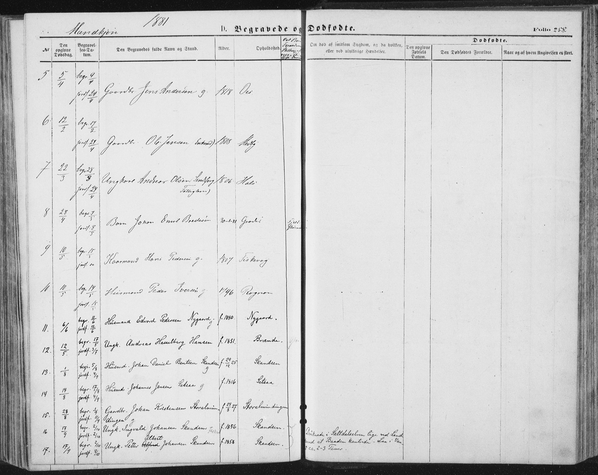 Ministerialprotokoller, klokkerbøker og fødselsregistre - Nordland, AV/SAT-A-1459/847/L0668: Ministerialbok nr. 847A08, 1872-1886, s. 258