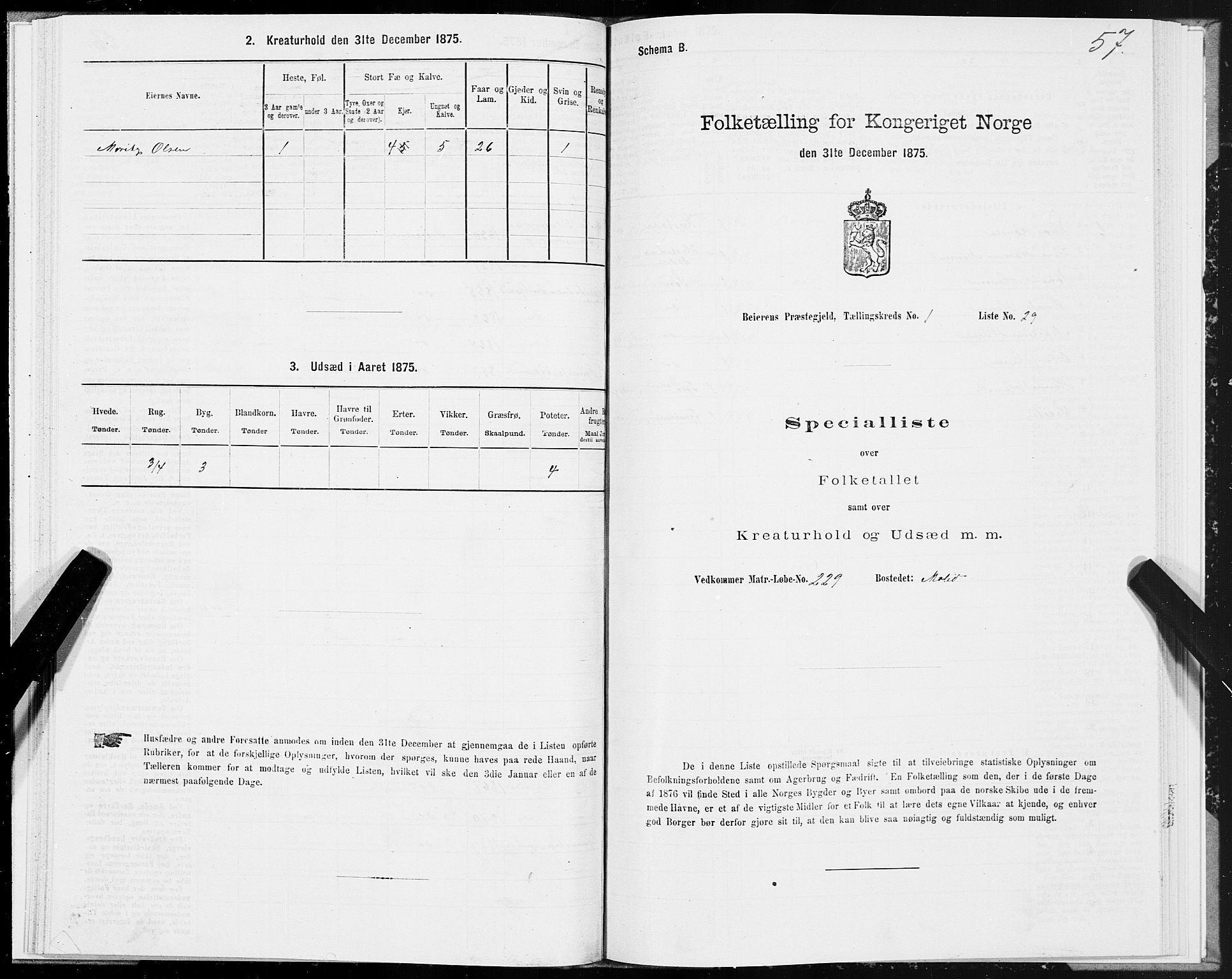 SAT, Folketelling 1875 for 1839P Beiarn prestegjeld, 1875, s. 1057