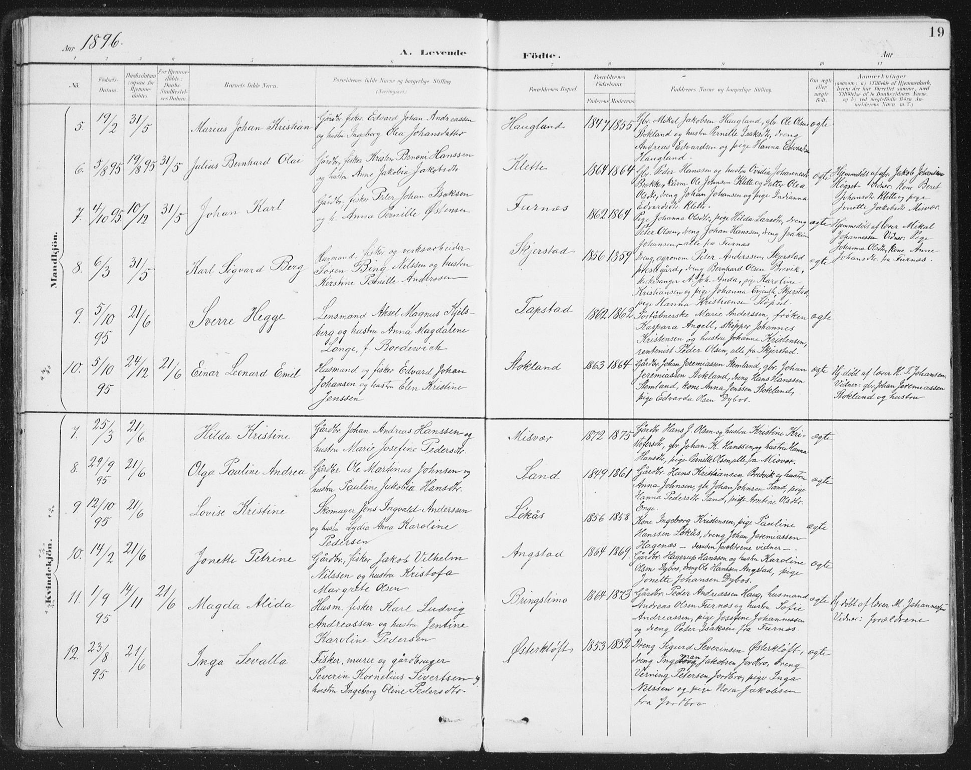 Ministerialprotokoller, klokkerbøker og fødselsregistre - Nordland, AV/SAT-A-1459/852/L0741: Ministerialbok nr. 852A11, 1894-1917, s. 19