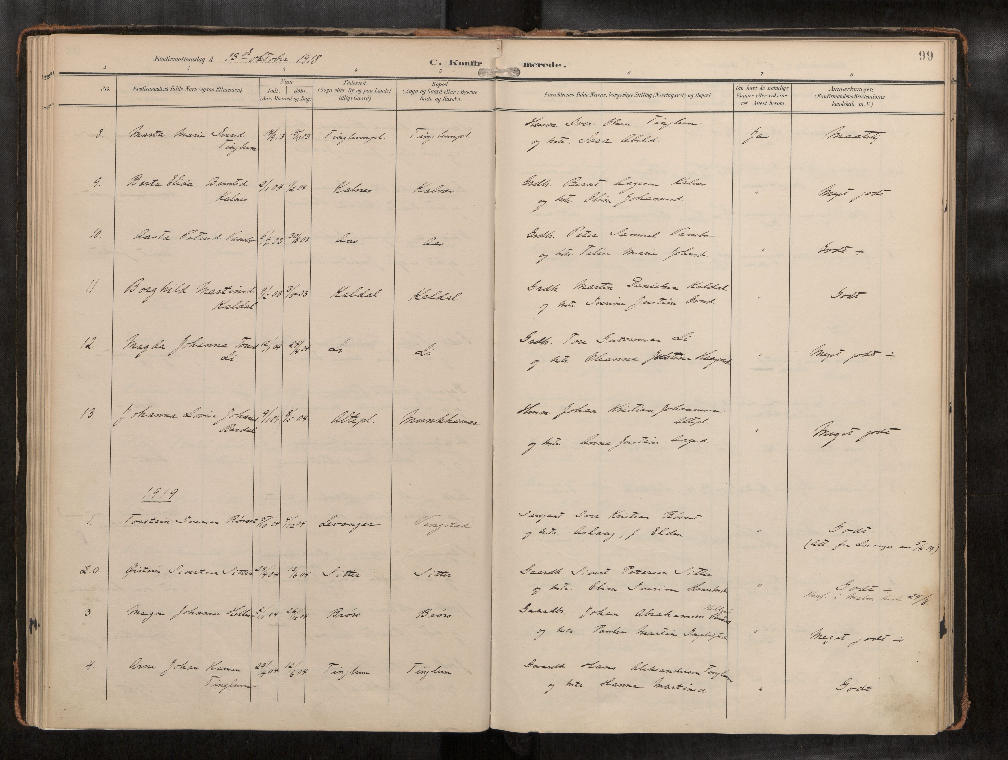 Ministerialprotokoller, klokkerbøker og fødselsregistre - Nord-Trøndelag, AV/SAT-A-1458/742/L0409a: Ministerialbok nr. 742A03, 1906-1924, s. 99