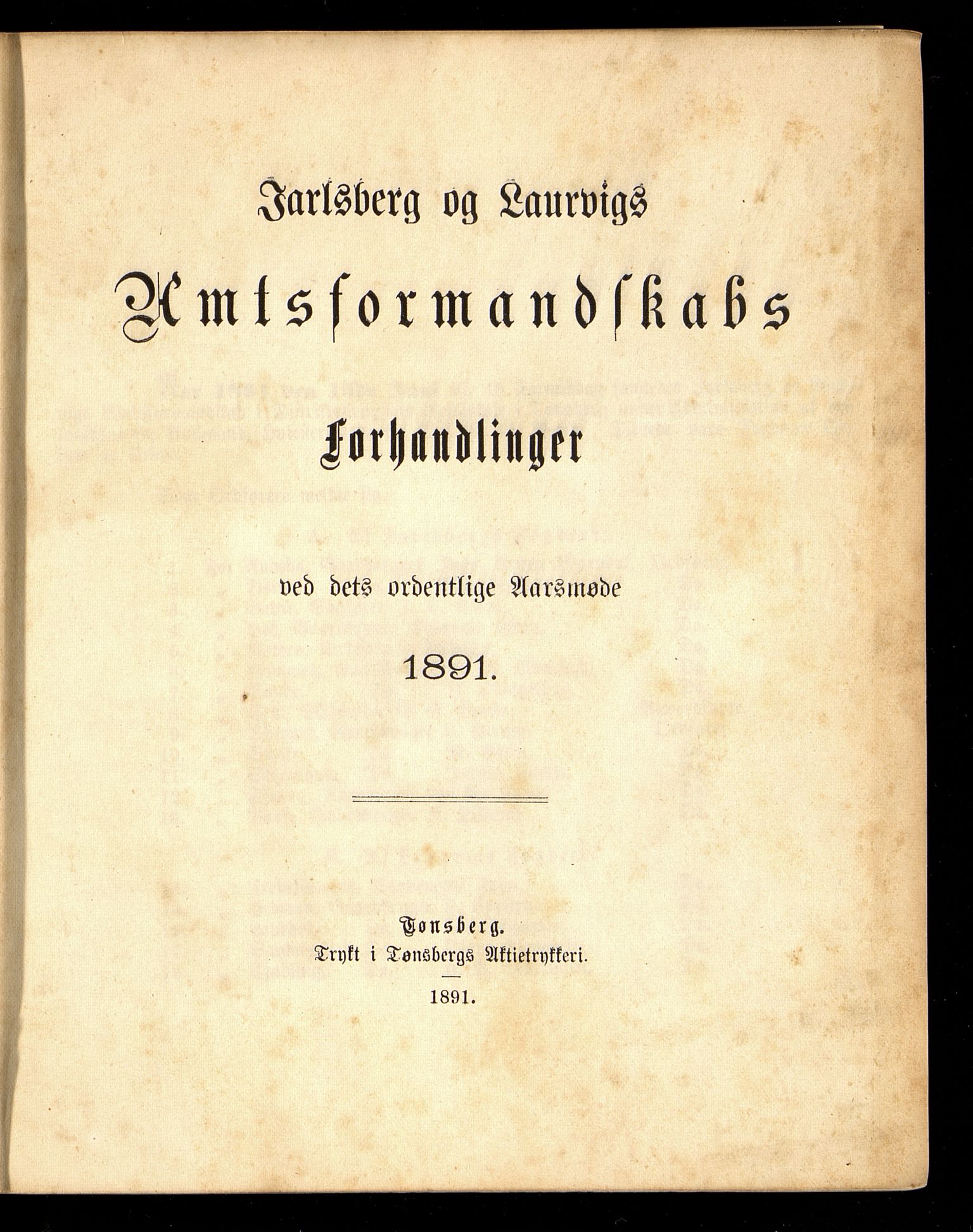 Vestfold fylkeskommune. Fylkestinget, VEMU/A-1315/A/Ab/Abb/L0038: Fylkestingsforhandlinger, 1891