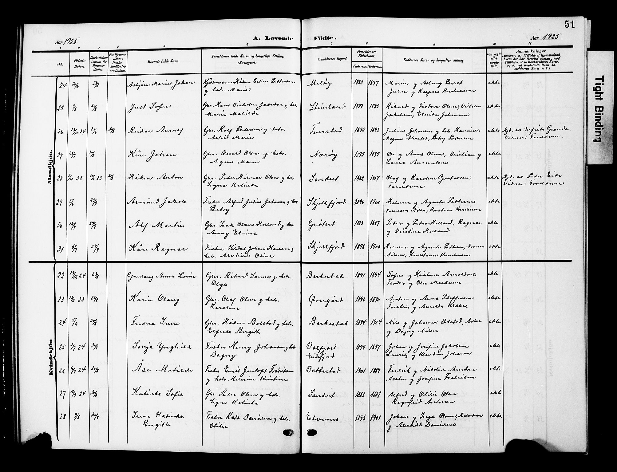 Ministerialprotokoller, klokkerbøker og fødselsregistre - Nordland, AV/SAT-A-1459/893/L1350: Klokkerbok nr. 893C05, 1906-1927, s. 51