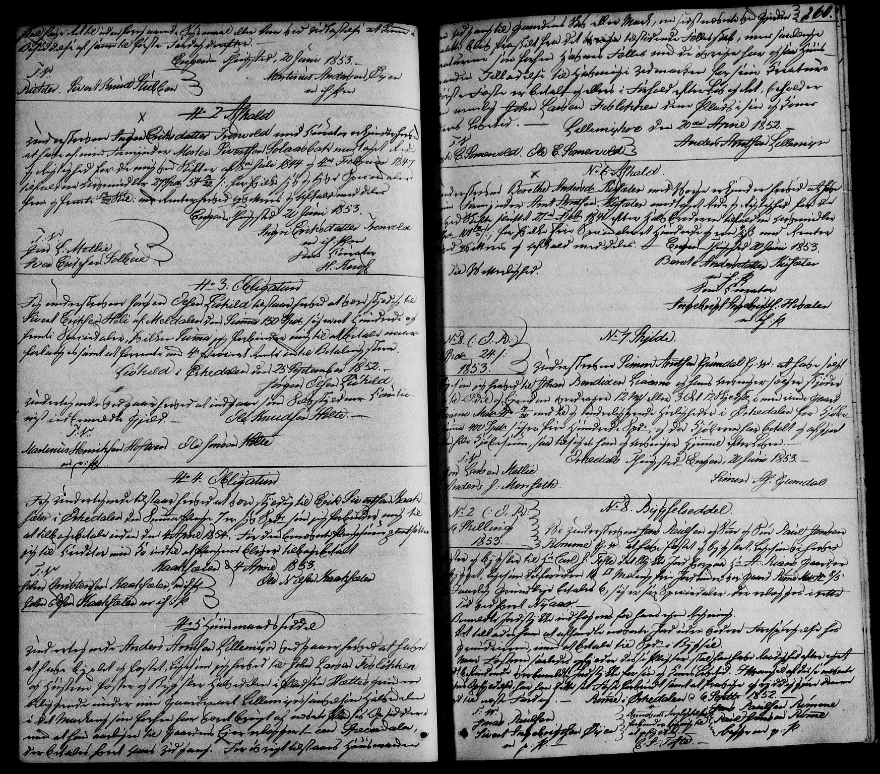 Orkdal sorenskriveri, SAT/A-4169/1/2/2C/L0014: Pantebok nr. 6, 1851-1856, s. 260