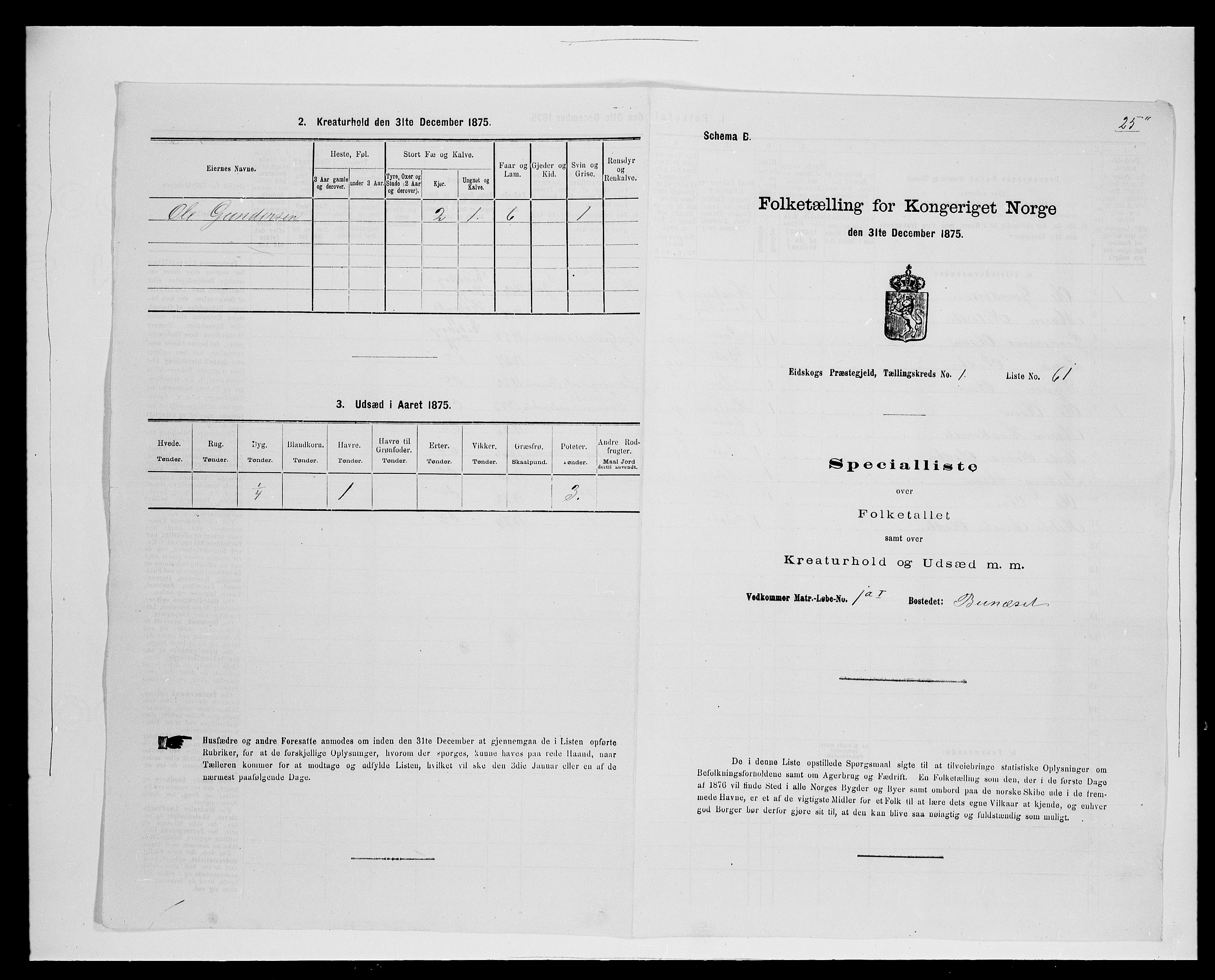 SAH, Folketelling 1875 for 0420P Eidskog prestegjeld, 1875, s. 258