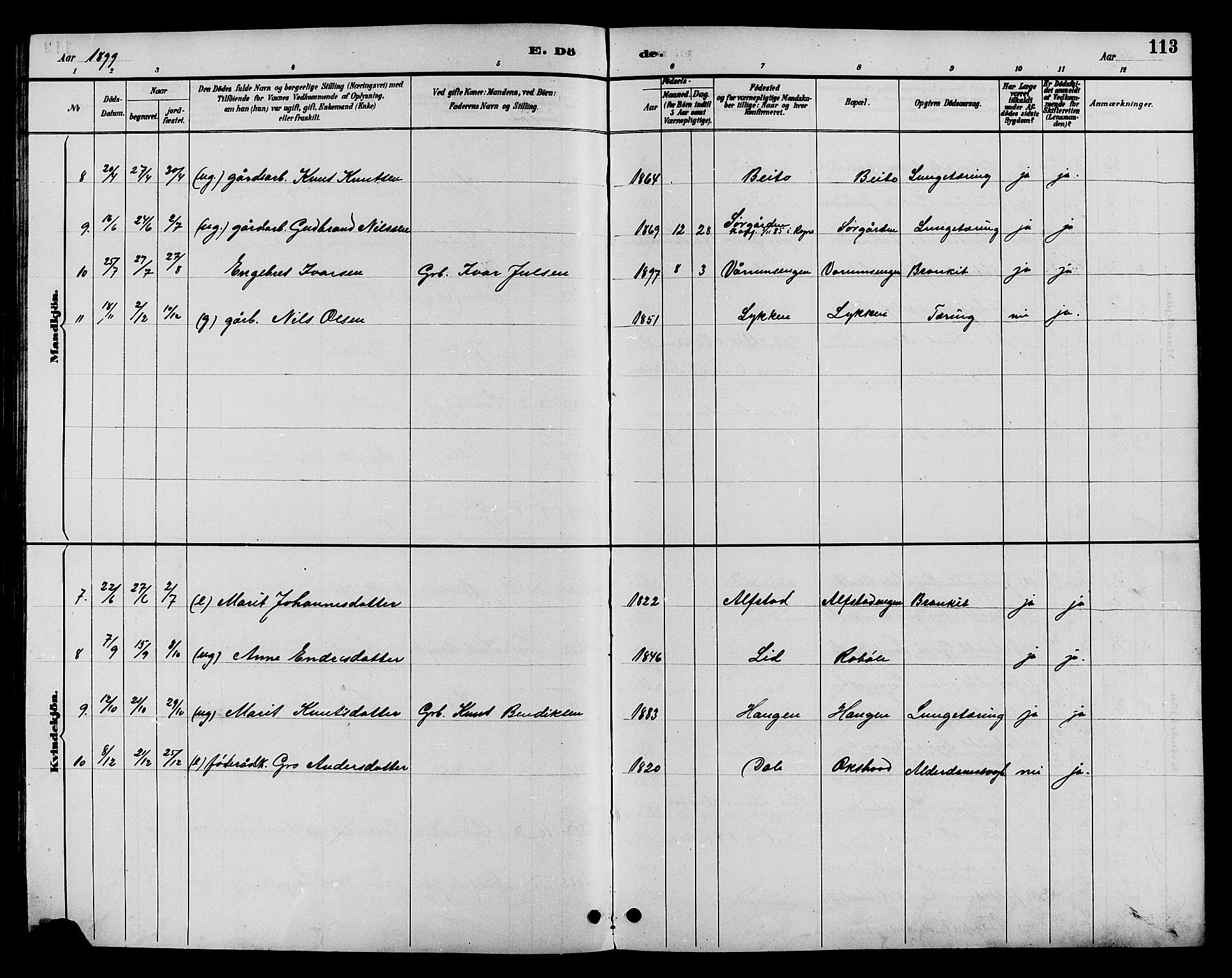 Øystre Slidre prestekontor, AV/SAH-PREST-138/H/Ha/Hab/L0004: Klokkerbok nr. 4, 1887-1907, s. 113