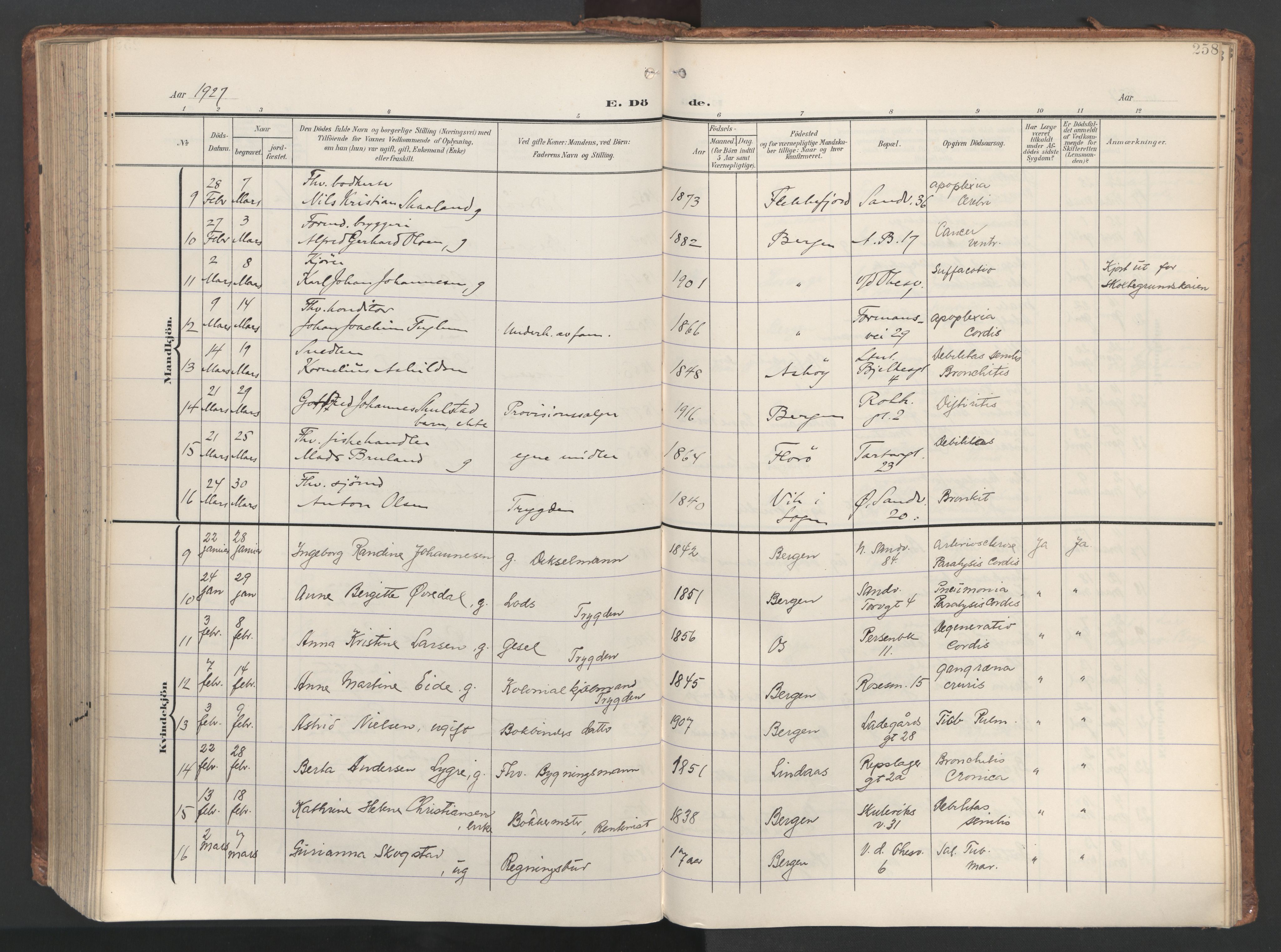 Sandviken Sokneprestembete, SAB/A-77601/H/Ha/L0019: Ministerialbok nr. E 2, 1905-1933, s. 258