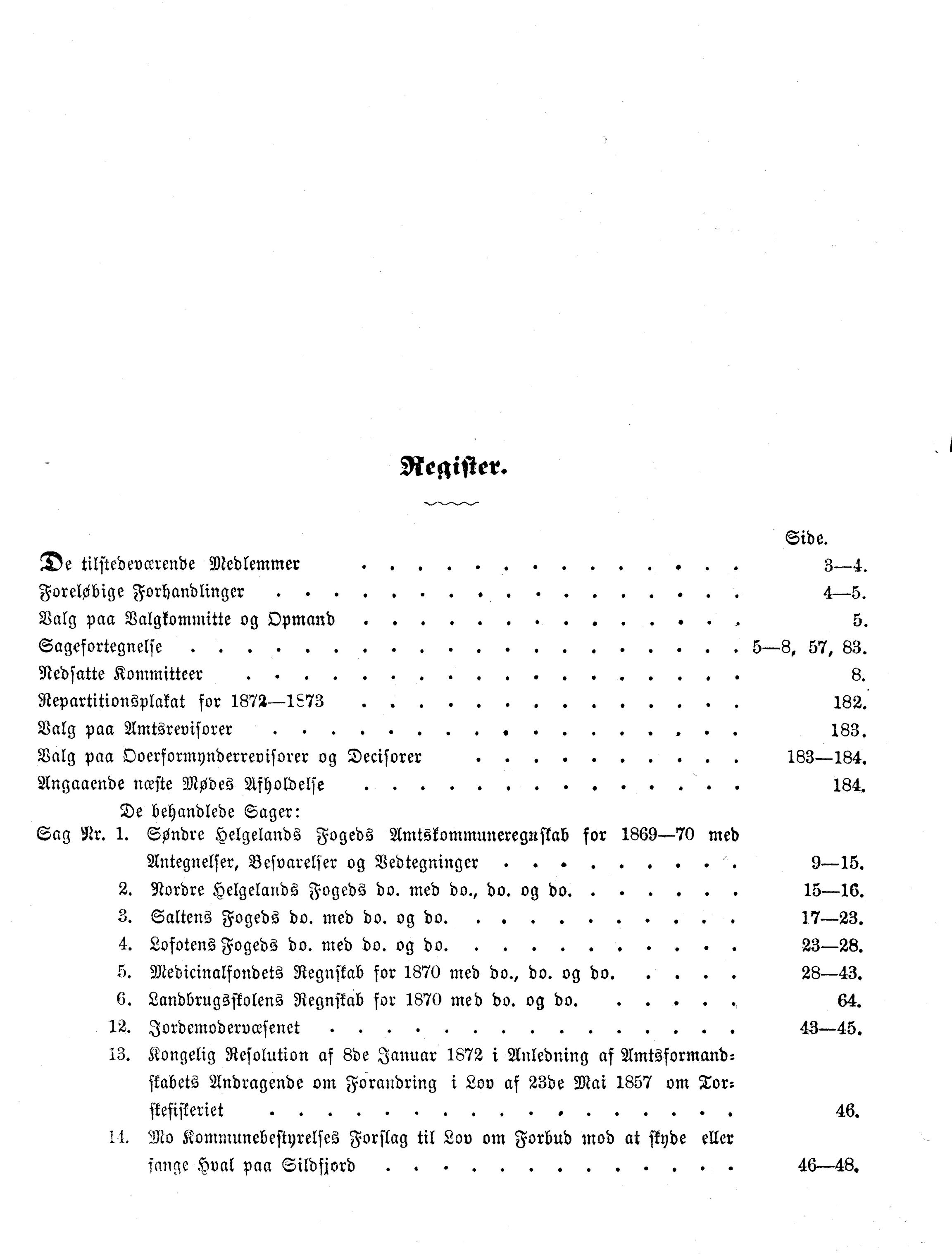 Nordland Fylkeskommune. Fylkestinget, AIN/NFK-17/176/A/Ac/L0007: Fylkestingsforhandlinger 1871-1875, 1871-1875