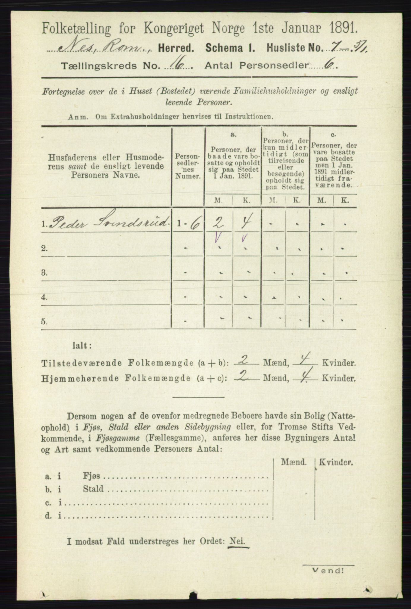 RA, Folketelling 1891 for 0236 Nes herred, 1891, s. 9505