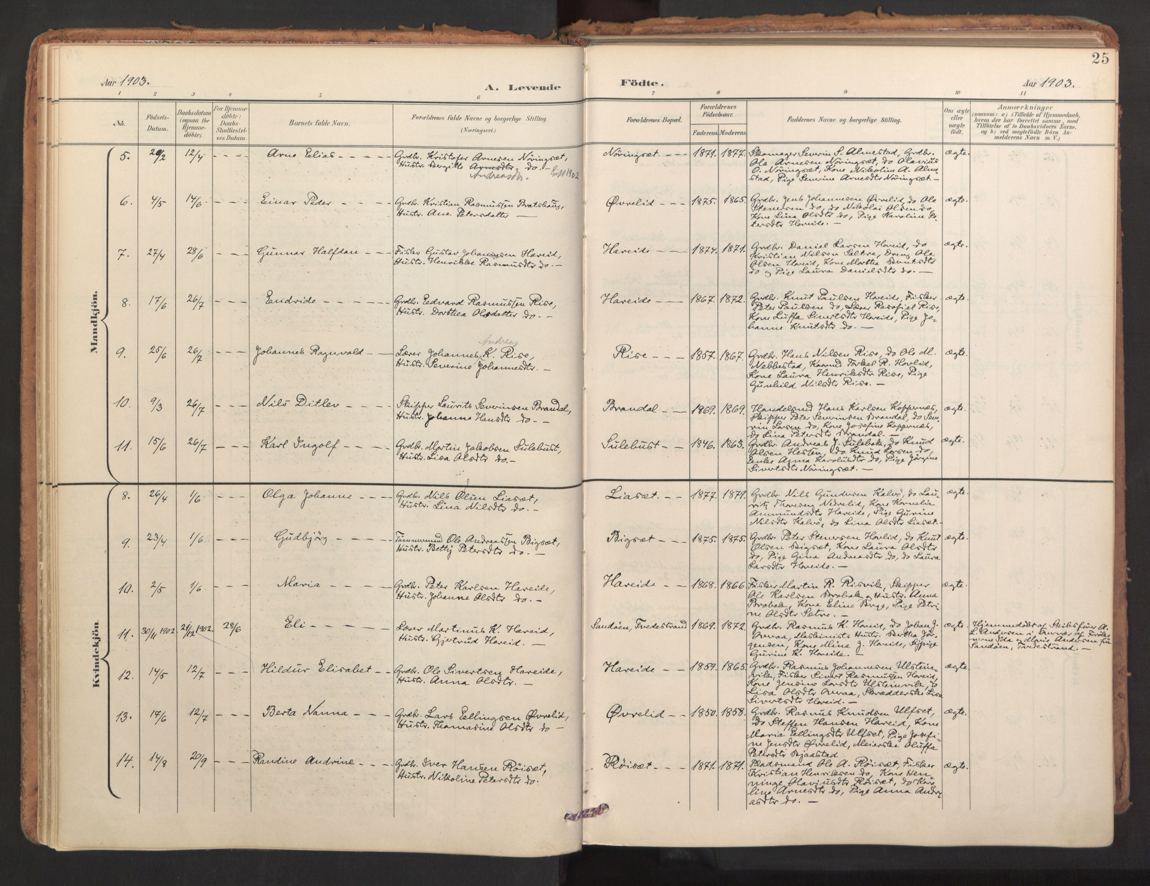 Ministerialprotokoller, klokkerbøker og fødselsregistre - Møre og Romsdal, AV/SAT-A-1454/510/L0123: Ministerialbok nr. 510A03, 1898-1922, s. 25