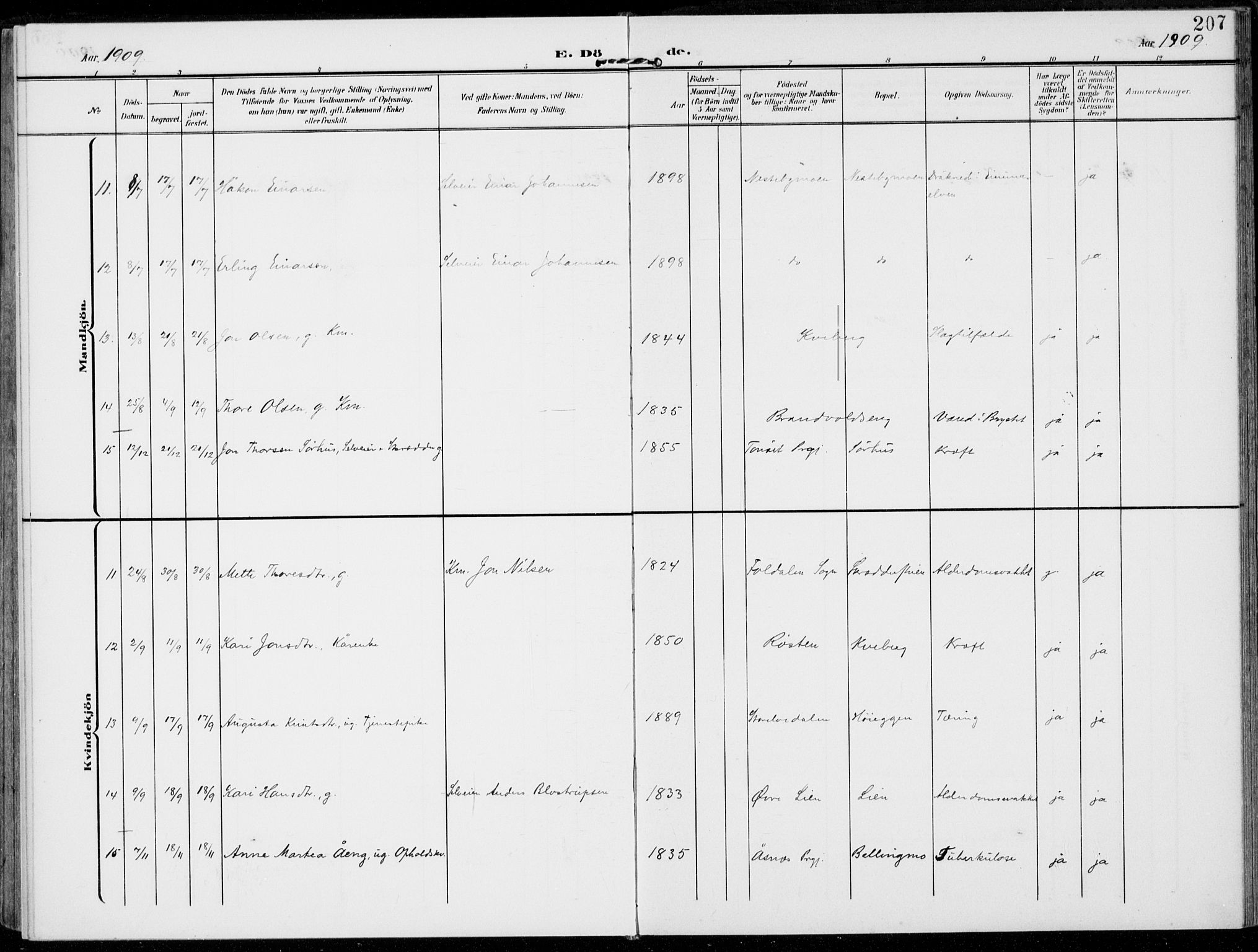 Alvdal prestekontor, SAH/PREST-060/H/Ha/Haa/L0004: Ministerialbok nr. 4, 1907-1919, s. 207