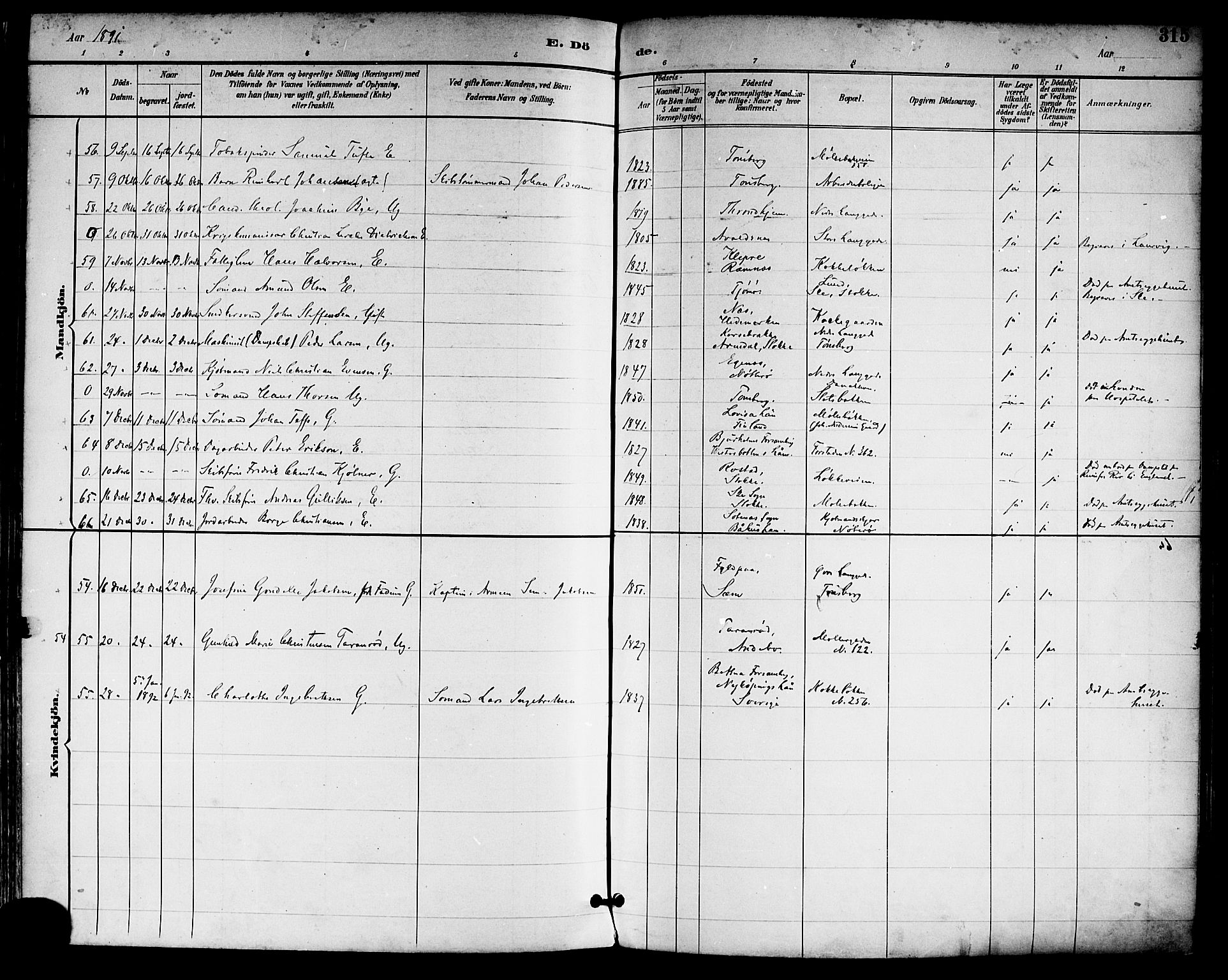 Tønsberg kirkebøker, AV/SAKO-A-330/F/Fa/L0012: Ministerialbok nr. I 12, 1891-1899, s. 315