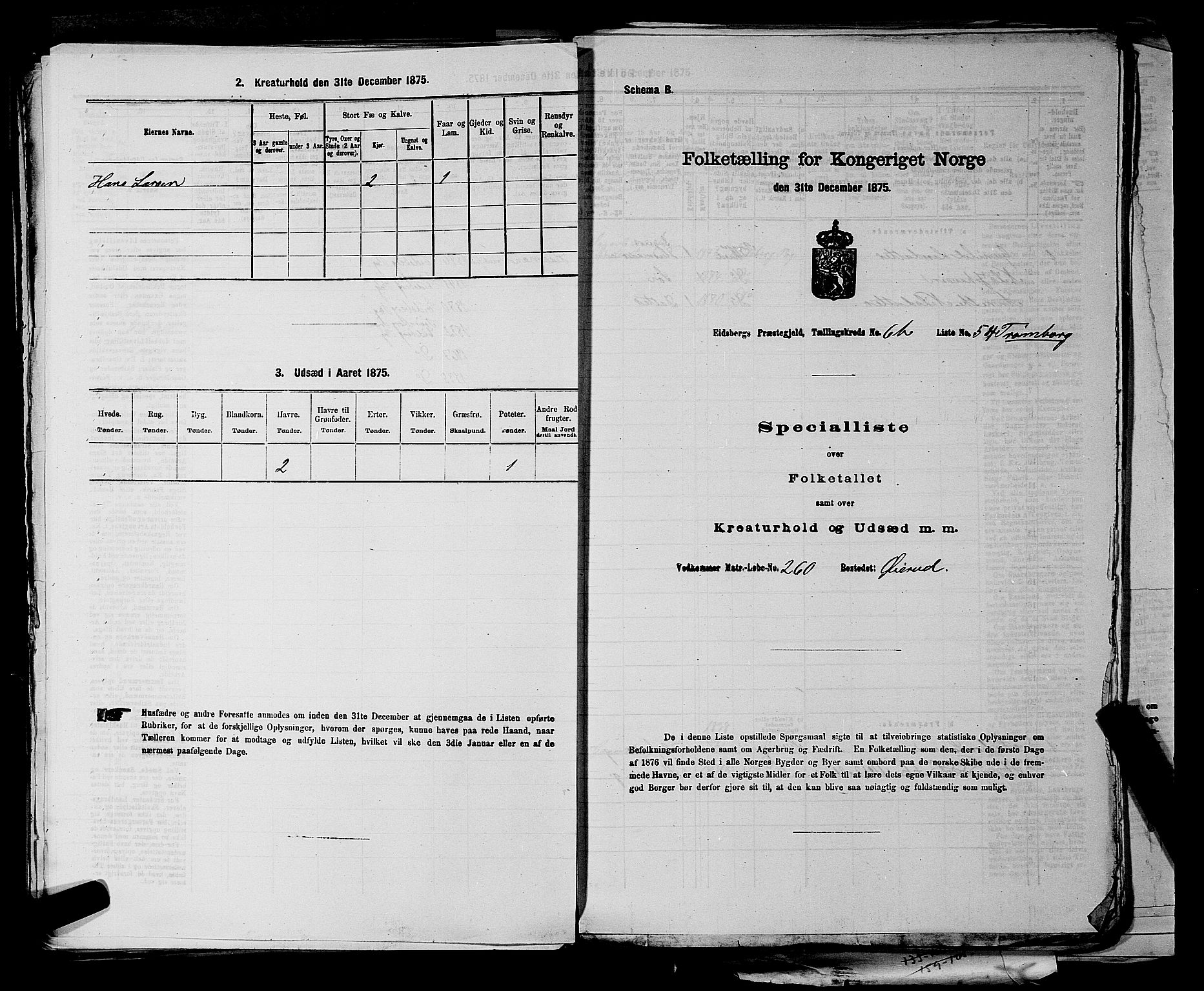 RA, Folketelling 1875 for 0125P Eidsberg prestegjeld, 1875, s. 1319