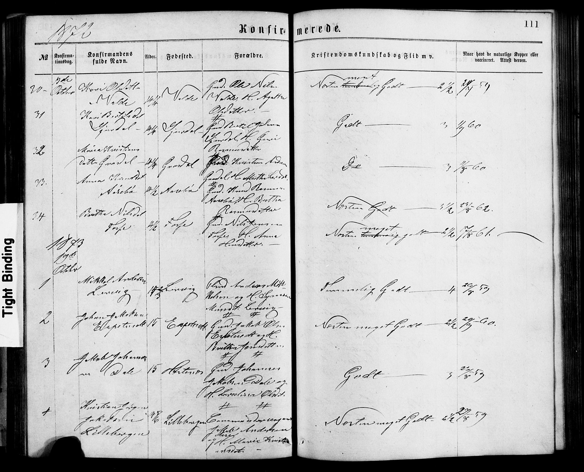 Alversund Sokneprestembete, AV/SAB-A-73901/H/Ha/Hab: Klokkerbok nr. C 2, 1867-1880, s. 111