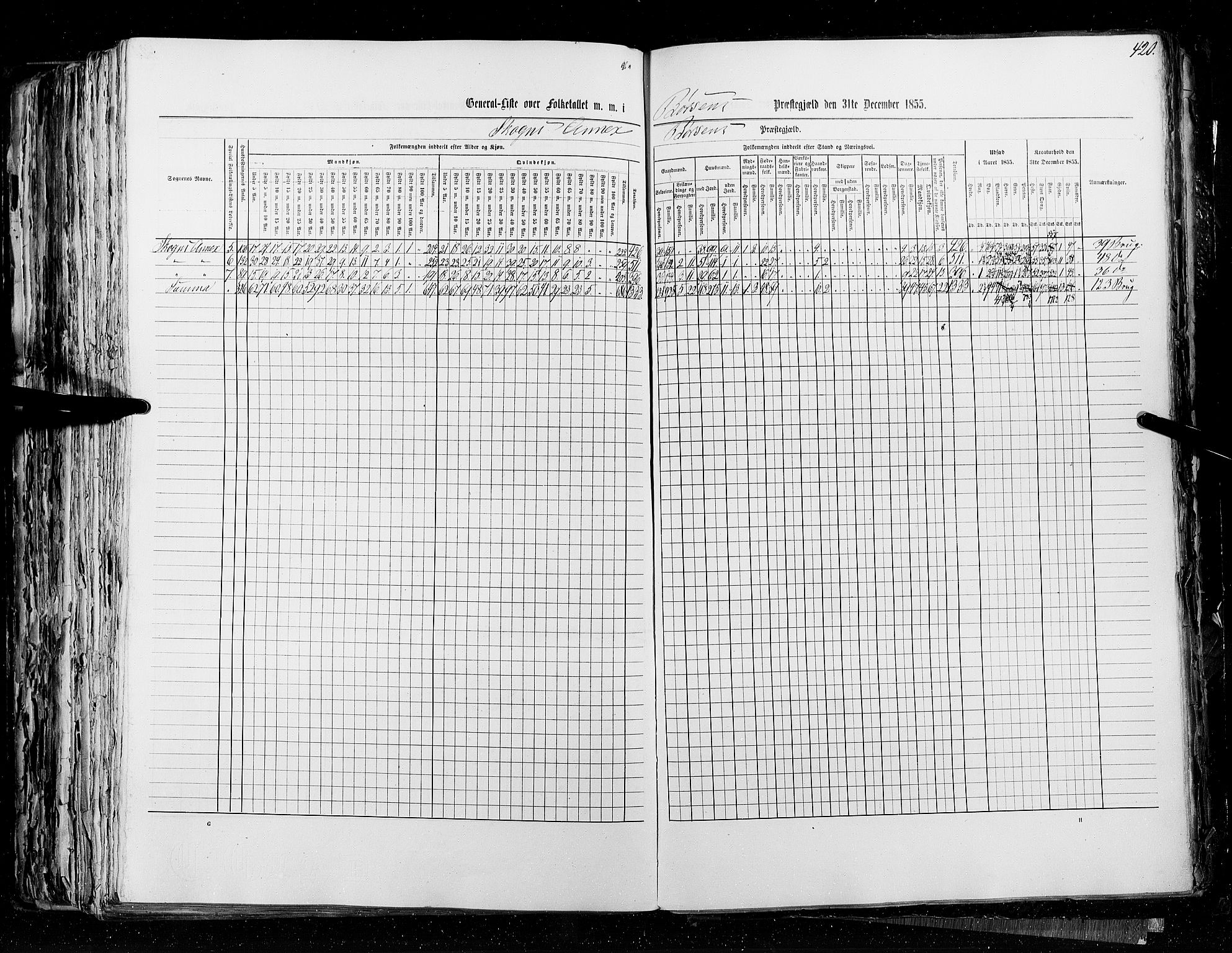 RA, Folketellingen 1855, bind 5: Nordre Bergenhus amt, Romsdal amt og Søndre Trondhjem amt, 1855, s. 420